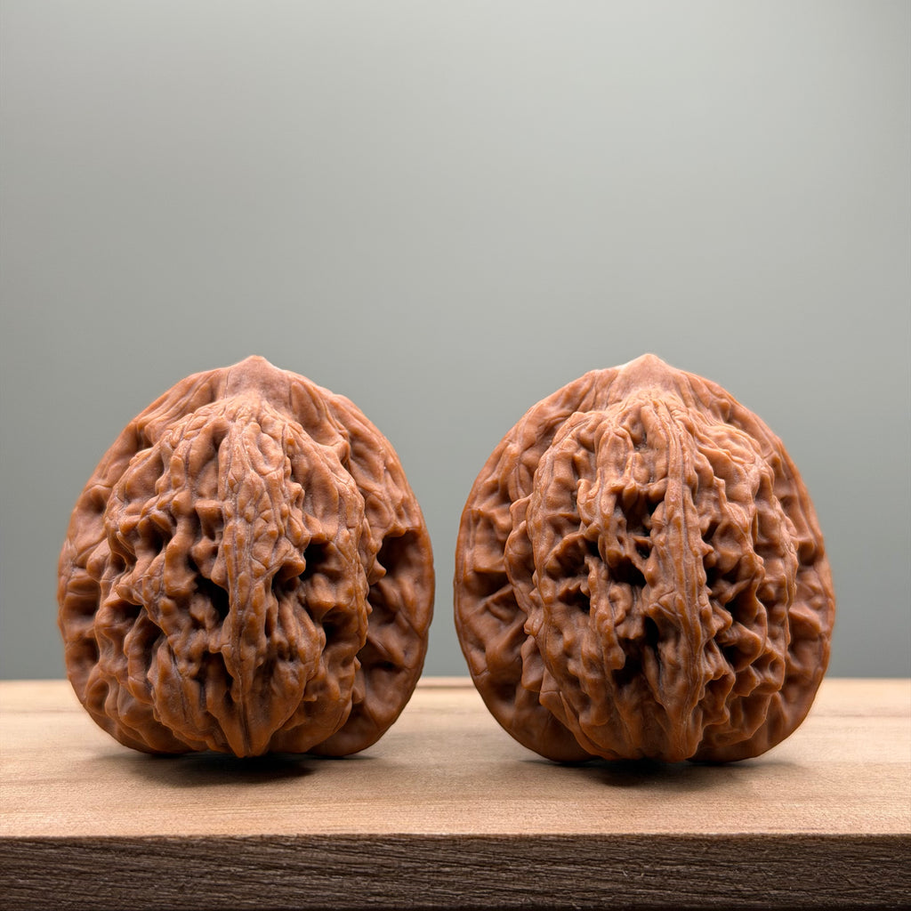 Wheat Ear Tiger Head Walnut