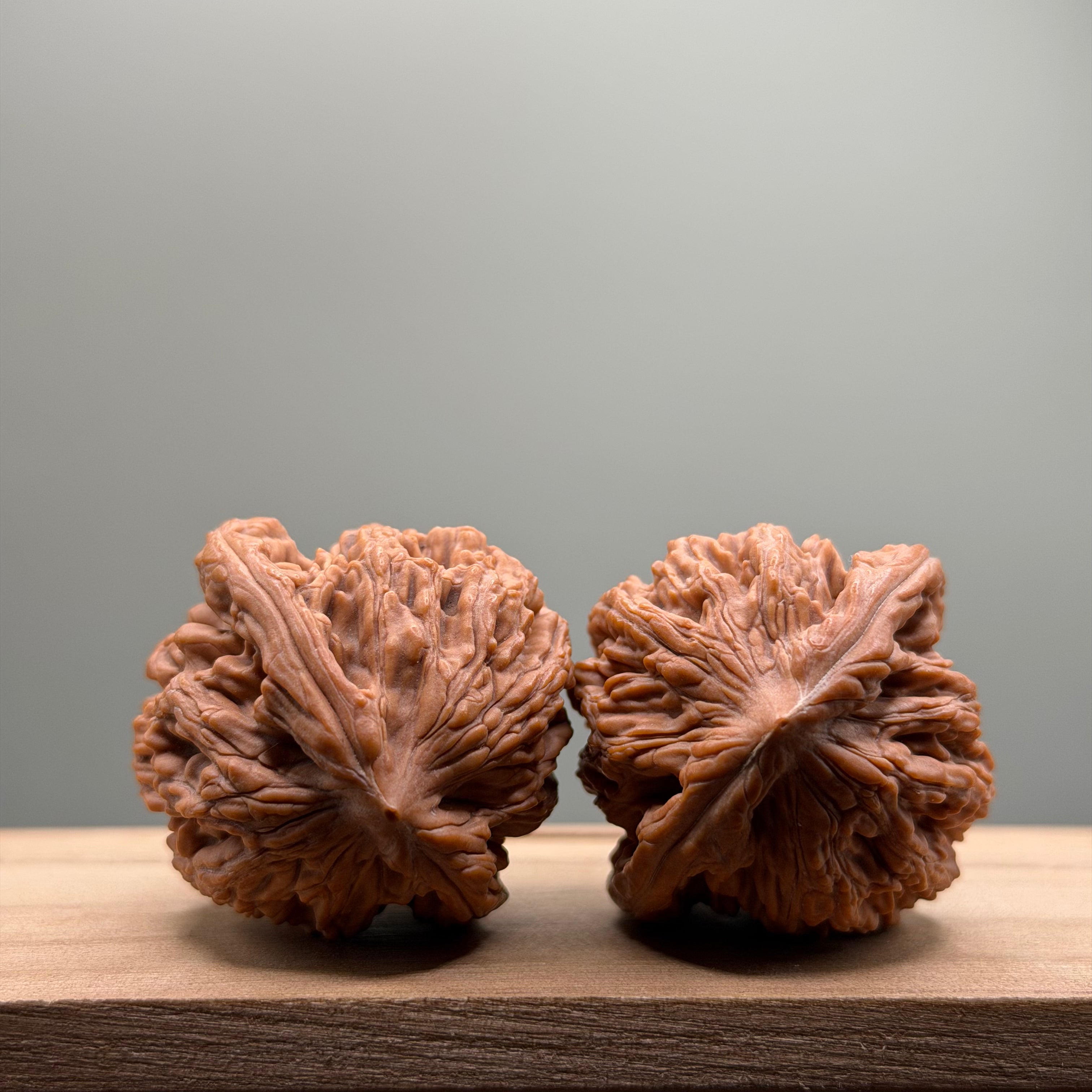 Wheat Ear Tiger Head Walnut