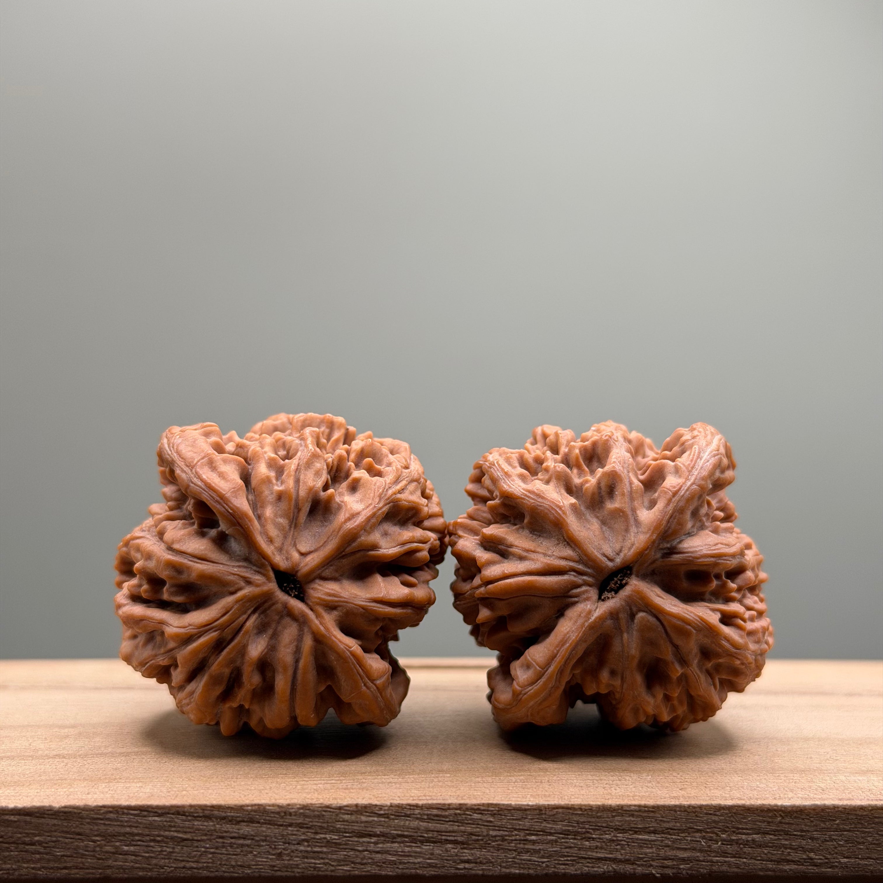 Wheat Ear Tiger Head Walnut