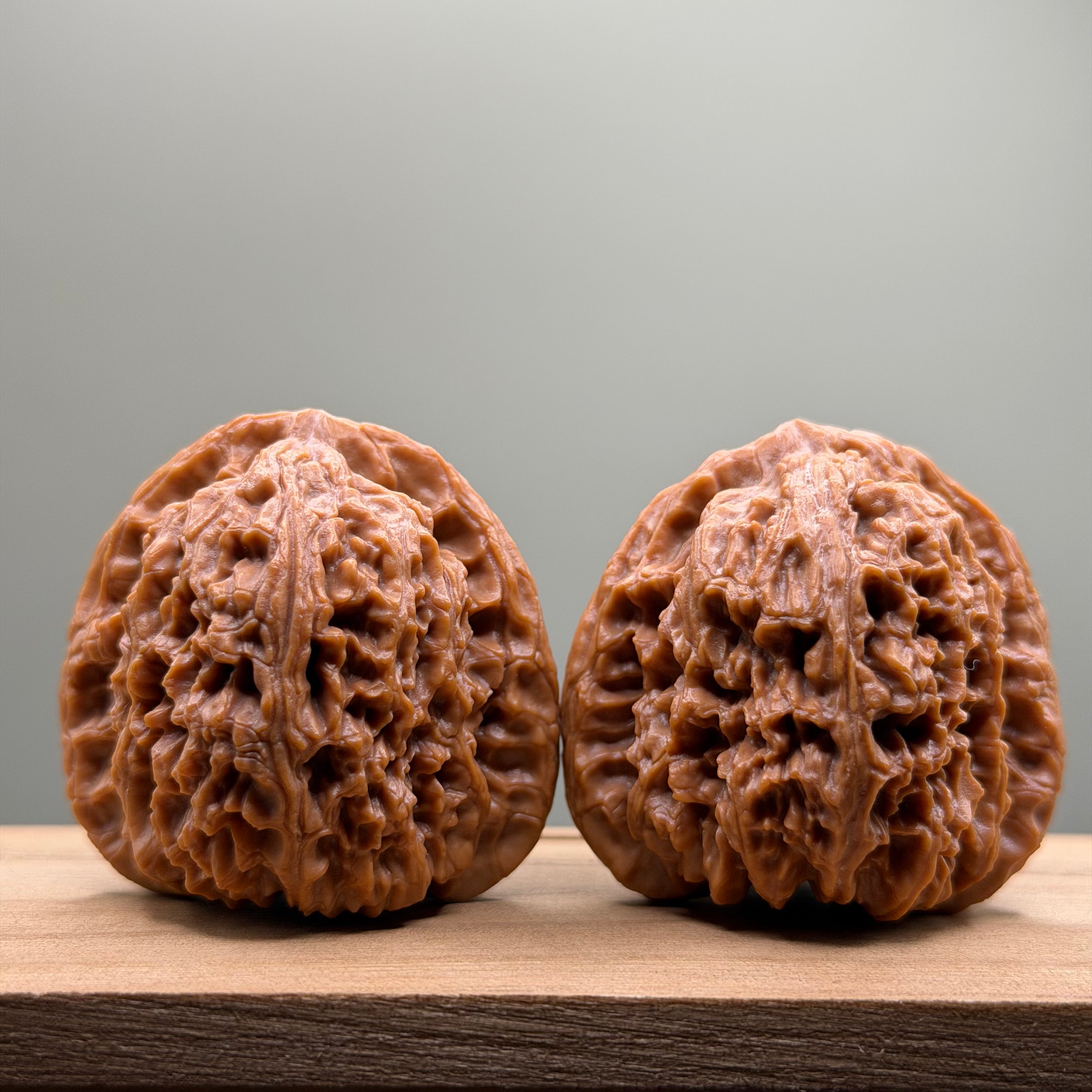 Nanjiang Stone Lion Head Wenwan Walnut