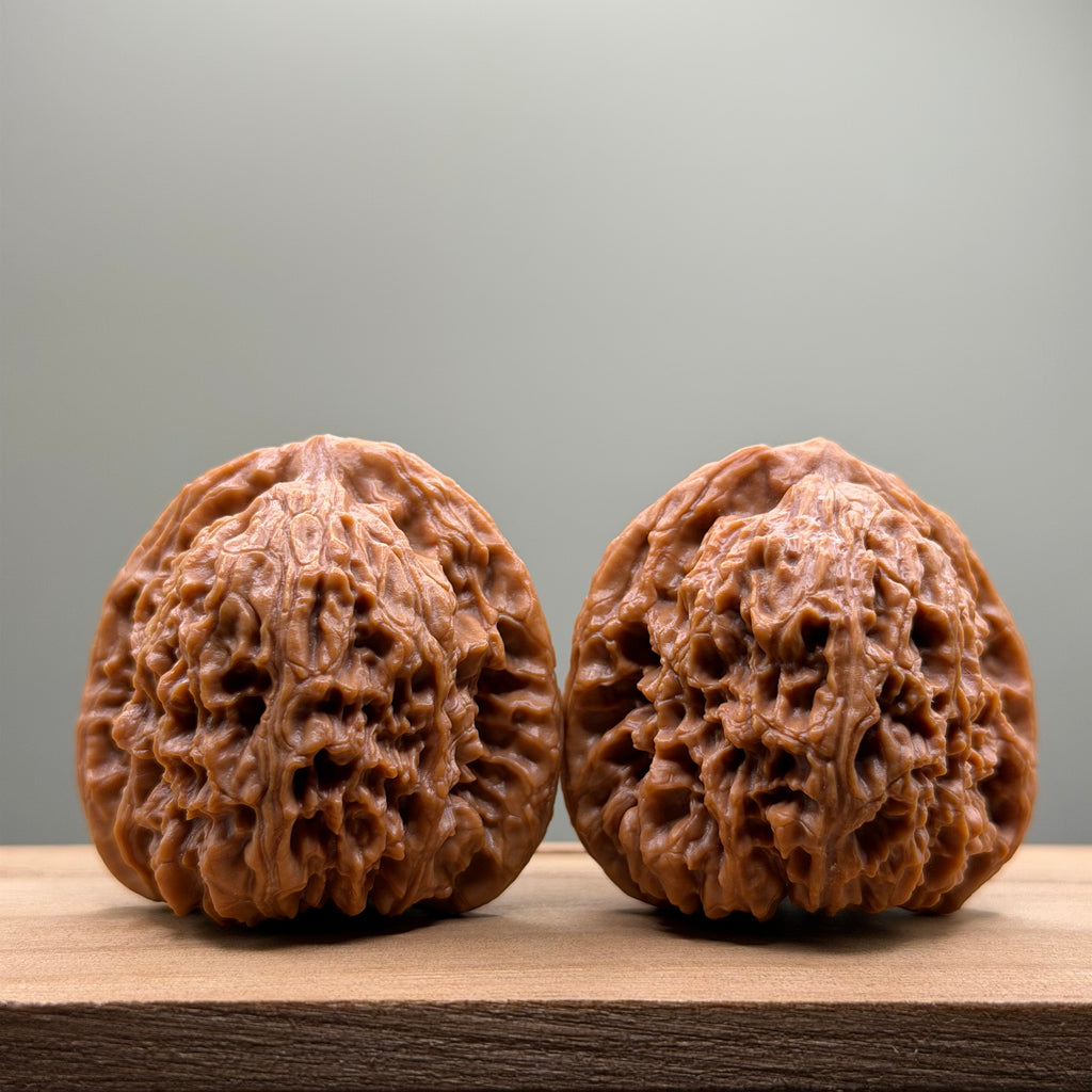 Nanjiang Stone Lion Head Wenwan Walnut