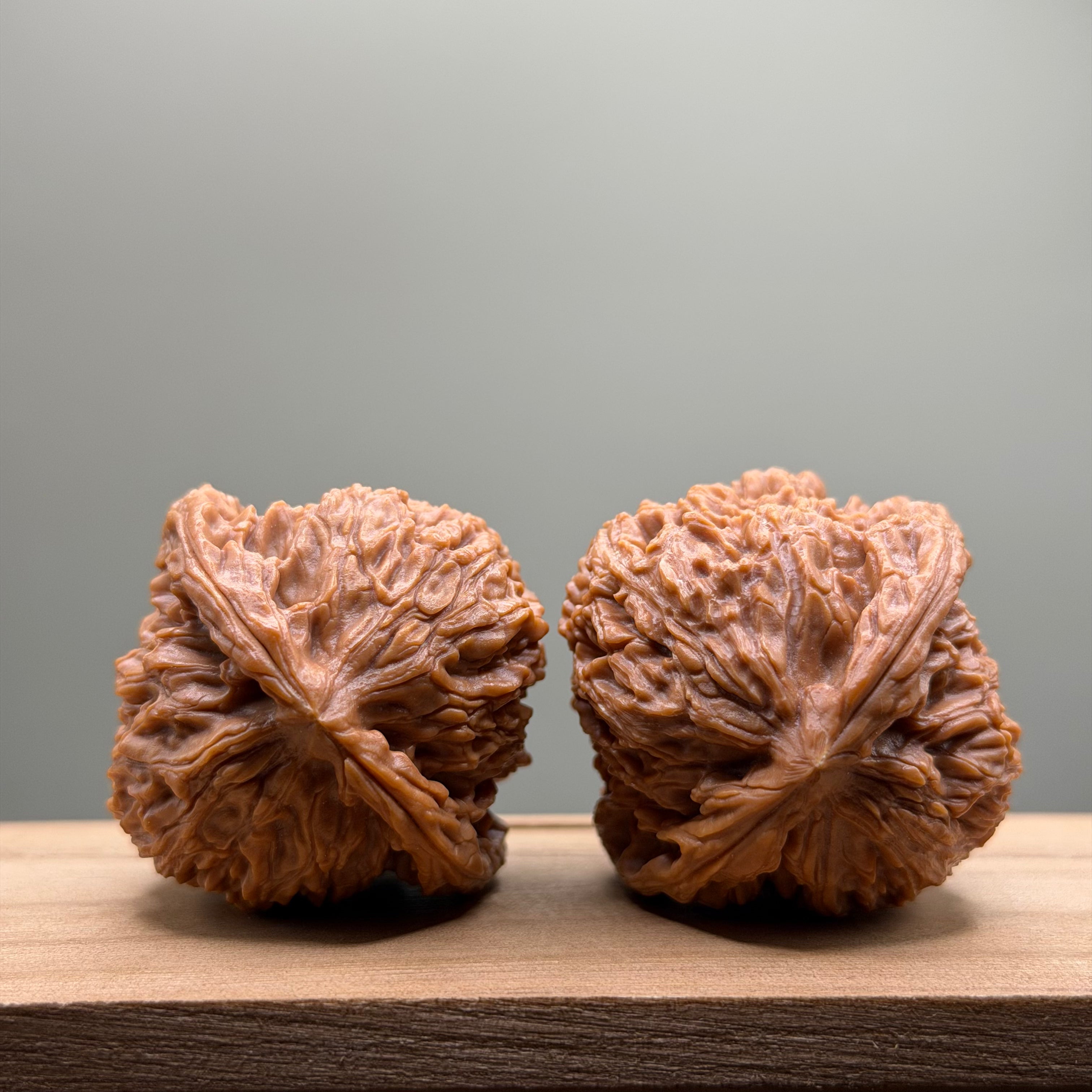 Nanjiang Stone Lion Head Wenwan Walnut