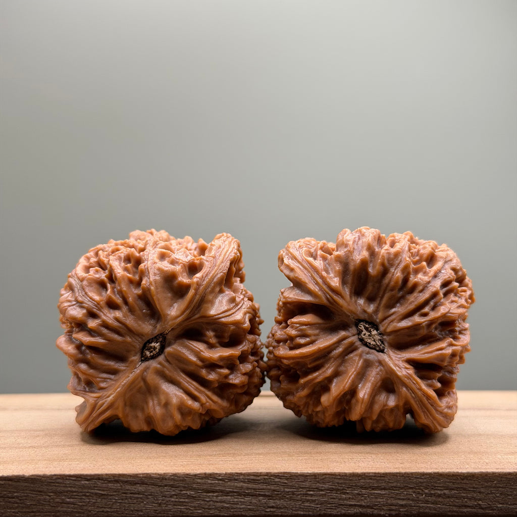 Nanjiang Stone Lion Head Wenwan Walnut