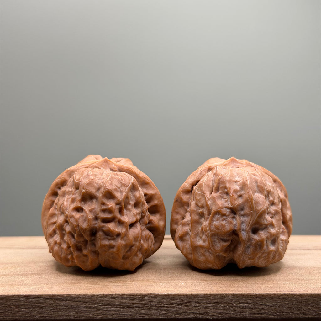 Toad Head Wenwan Walnut