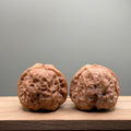 Toad Head Wenwan Walnut