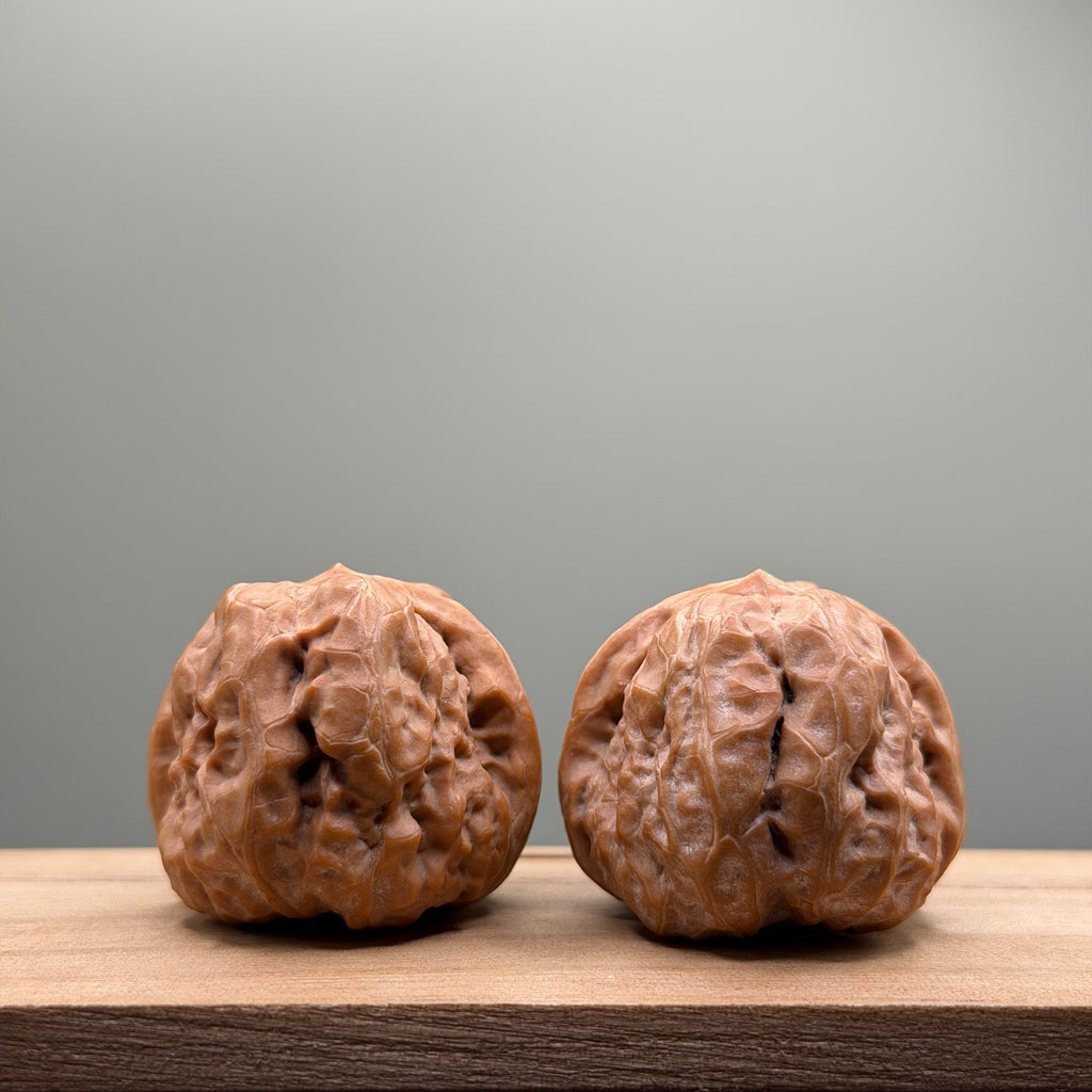 Toad Head Wenwan Walnut