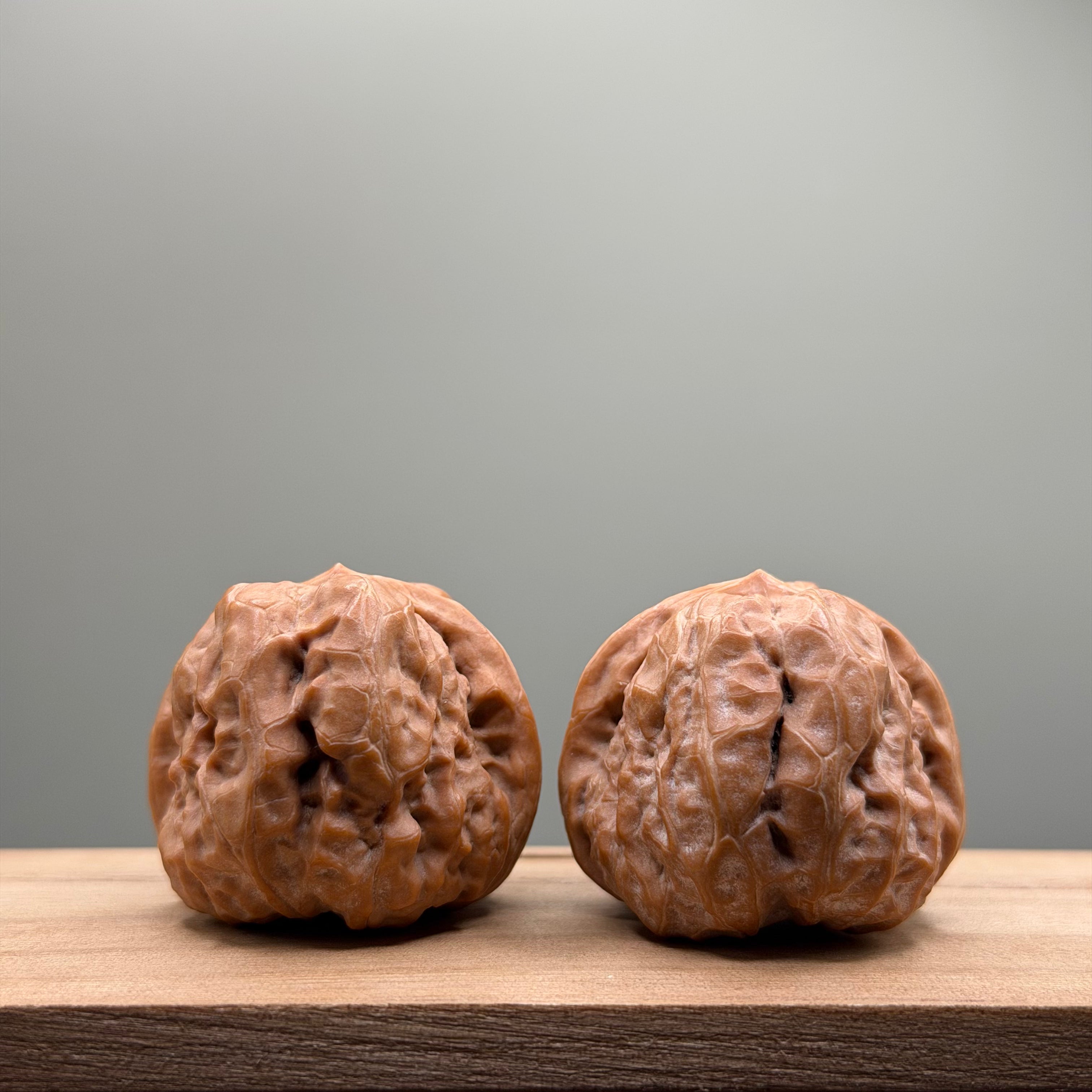 Toad Head Wenwan Walnut