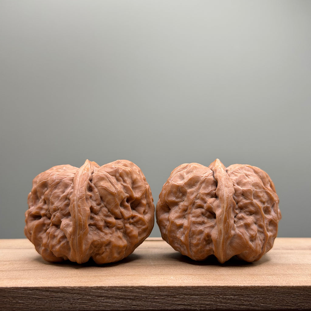 Toad Head Wenwan Walnut