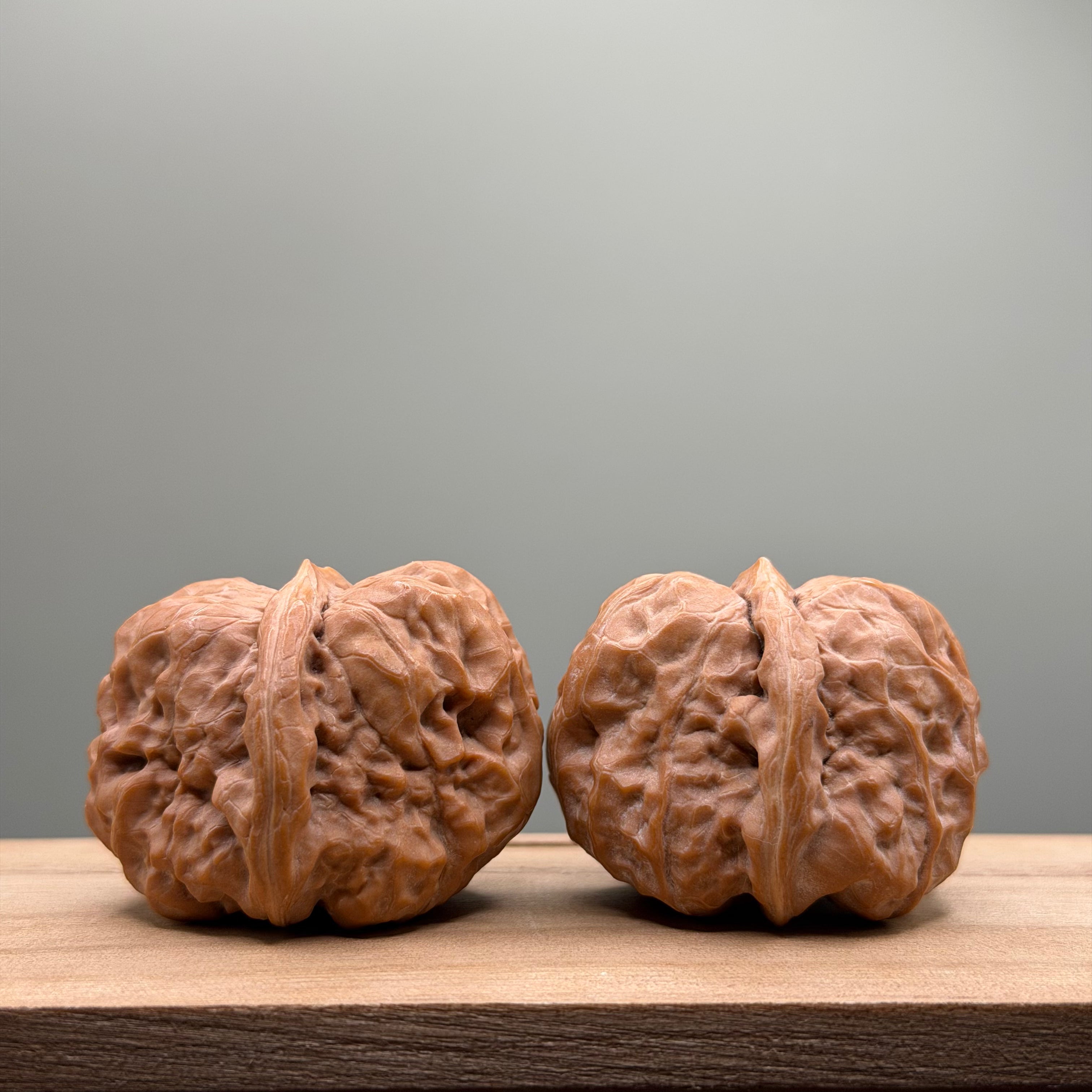 Toad Head Wenwan Walnut