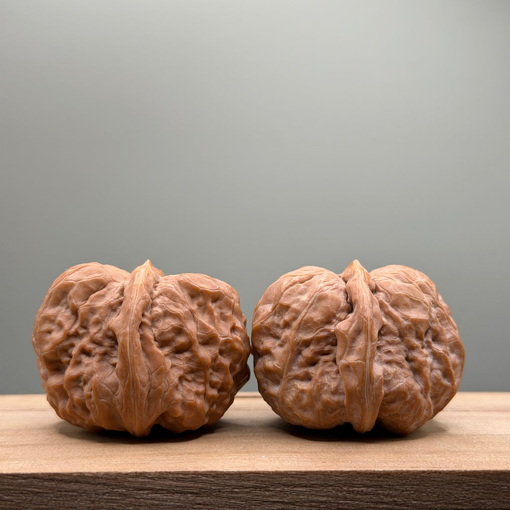 Toad Head Wenwan Walnut