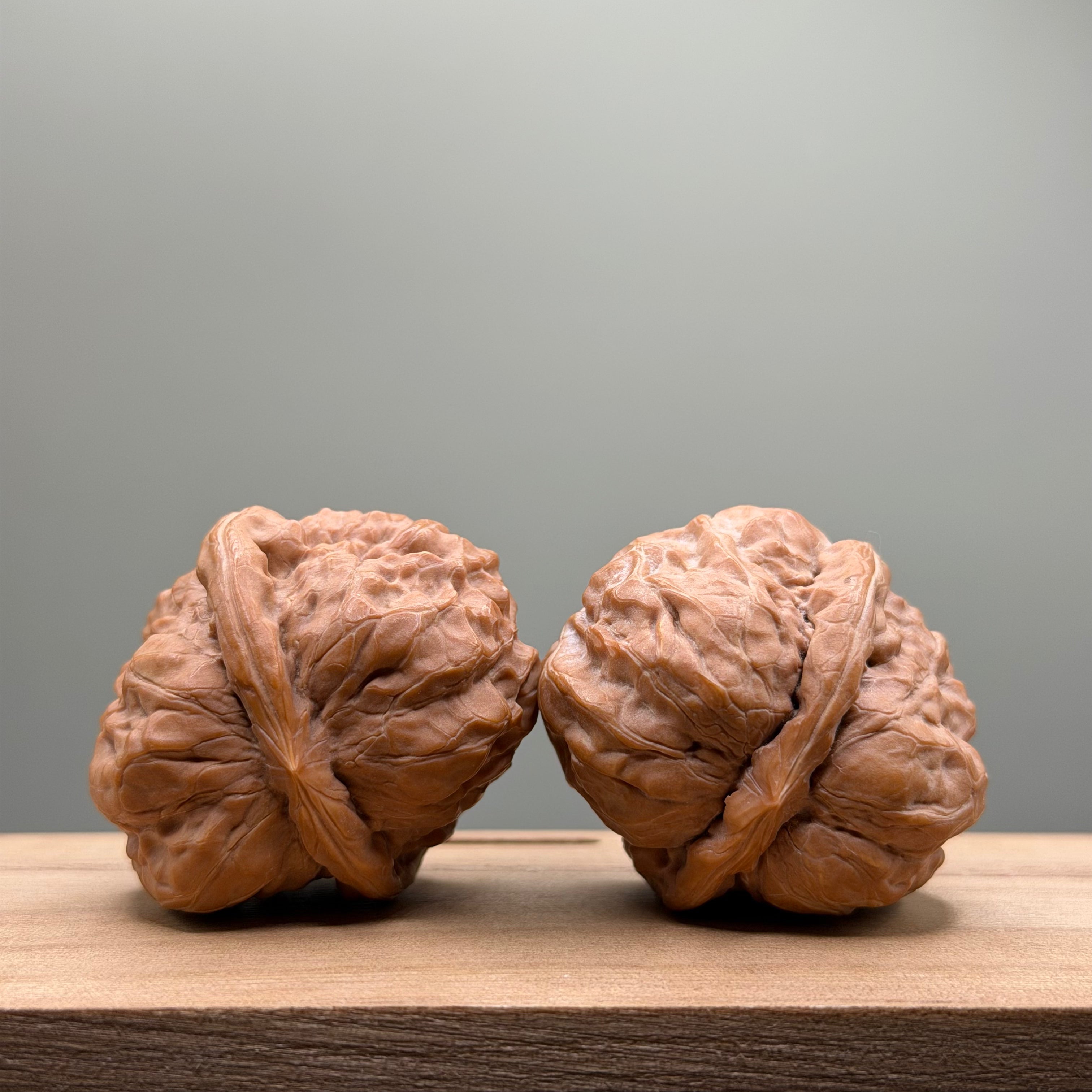 Toad Head Wenwan Walnut