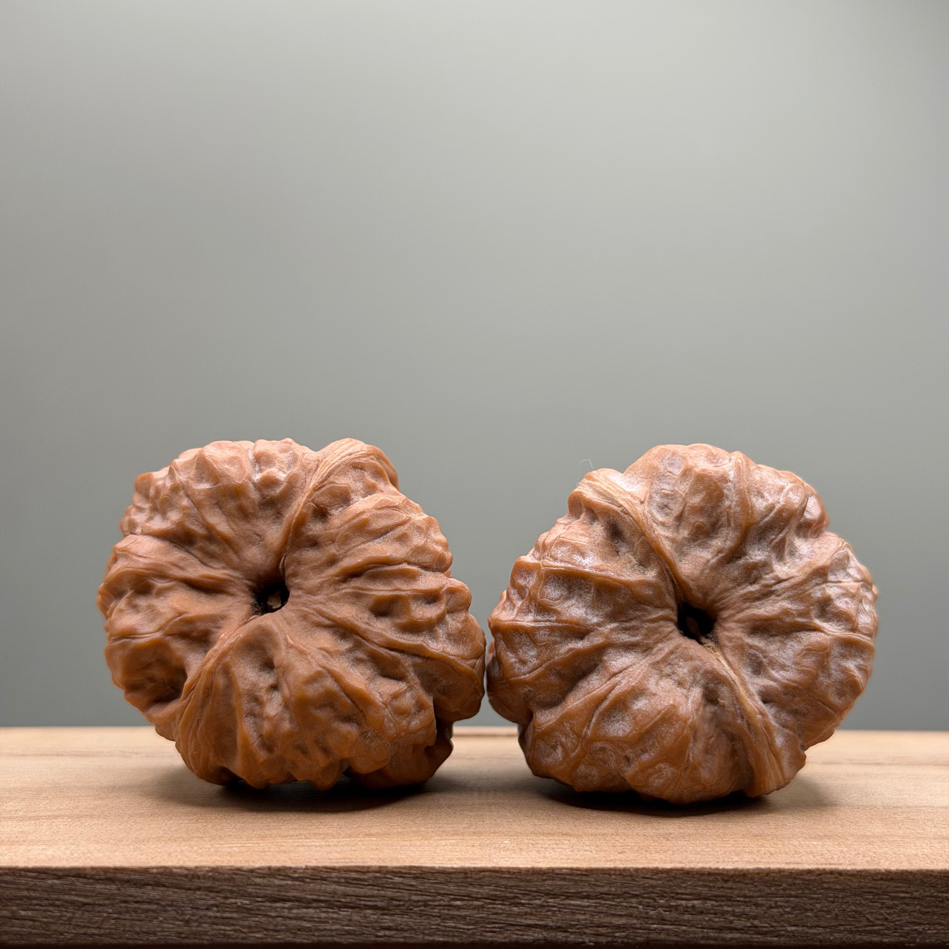 Toad Head Wenwan Walnut