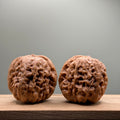 Door Pier Lion Head Wenwan Walnut