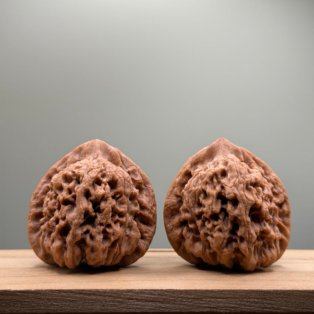 Official Hat Wenwan Walnut