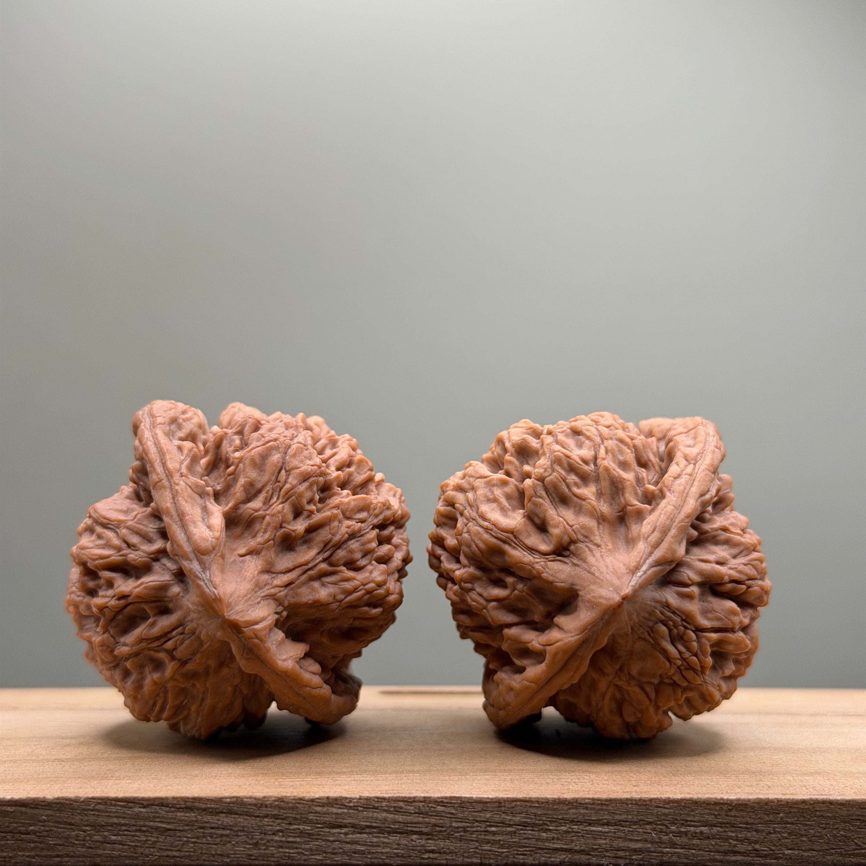 Official Hat Wenwan Walnut