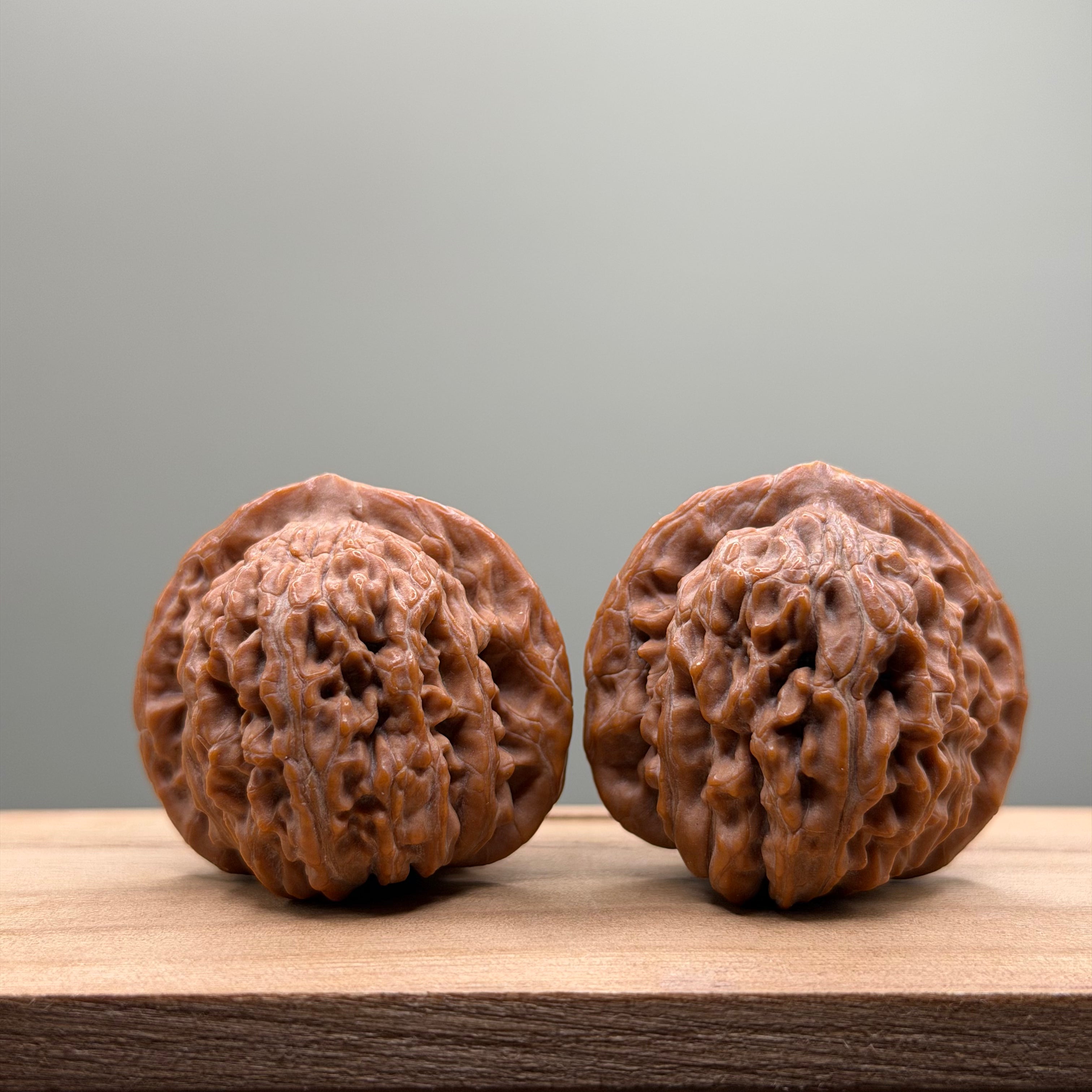 Four Towers Wenwan Walnut