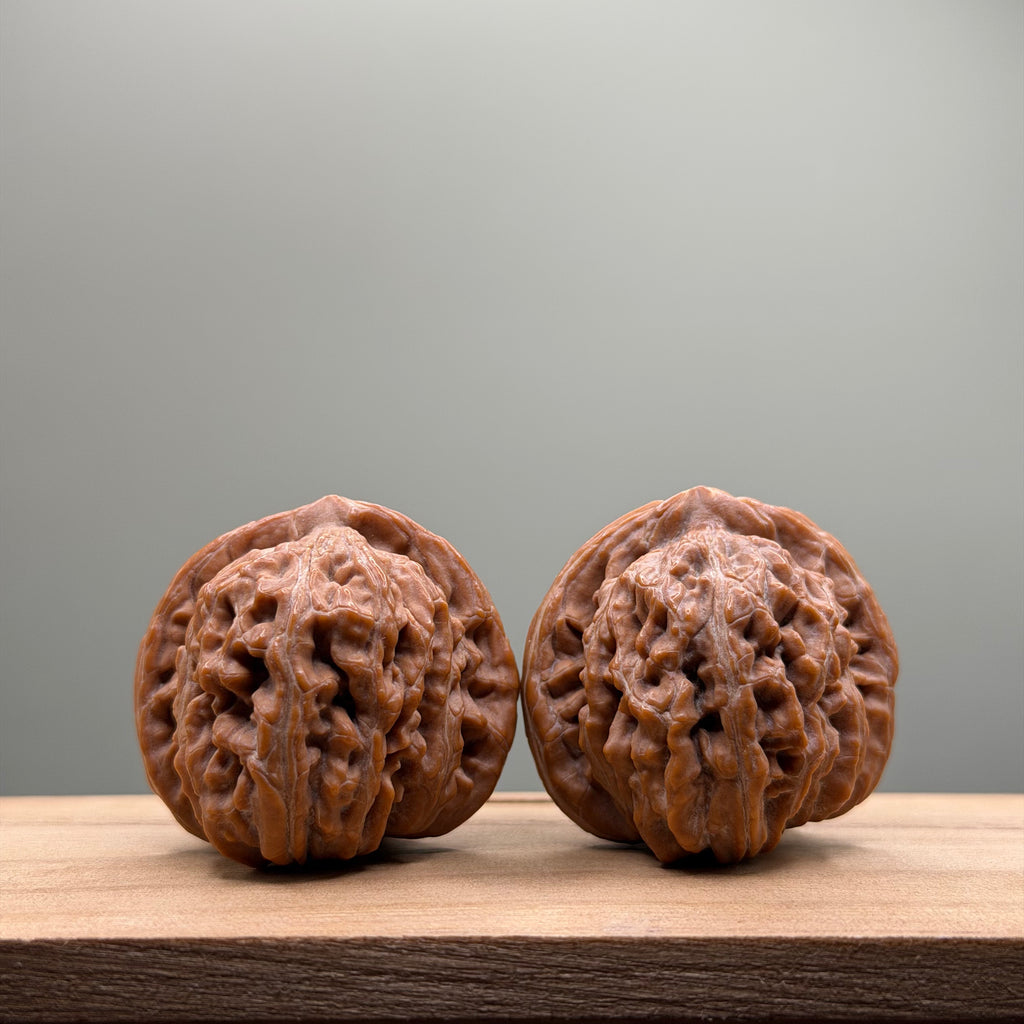 Four Towers Wenwan Walnut