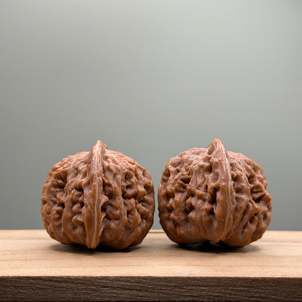 Four Towers Wenwan Walnut