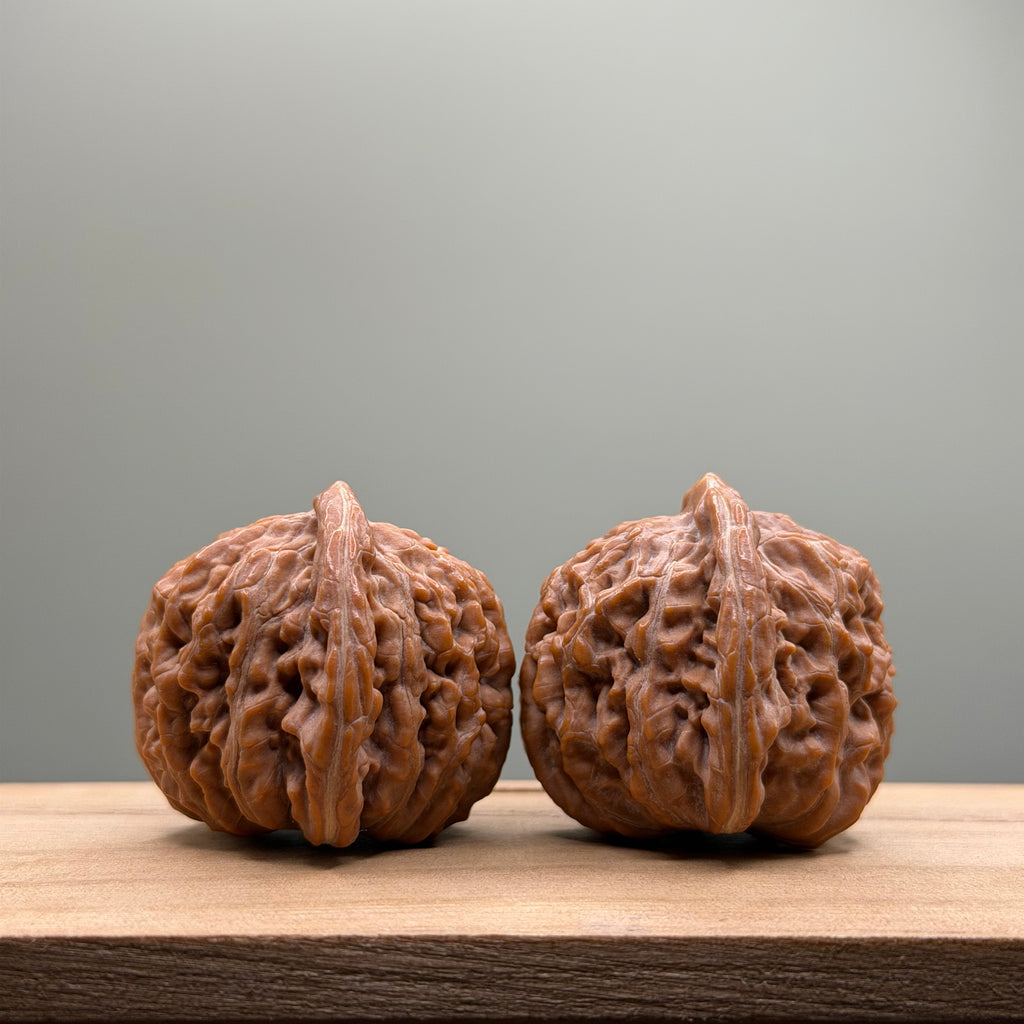 Four Towers Wenwan Walnut