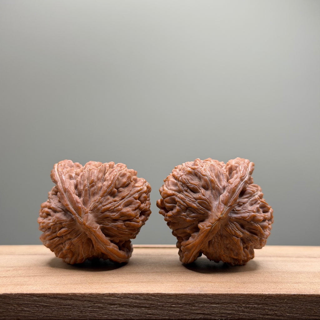 Four Towers Wenwan Walnut