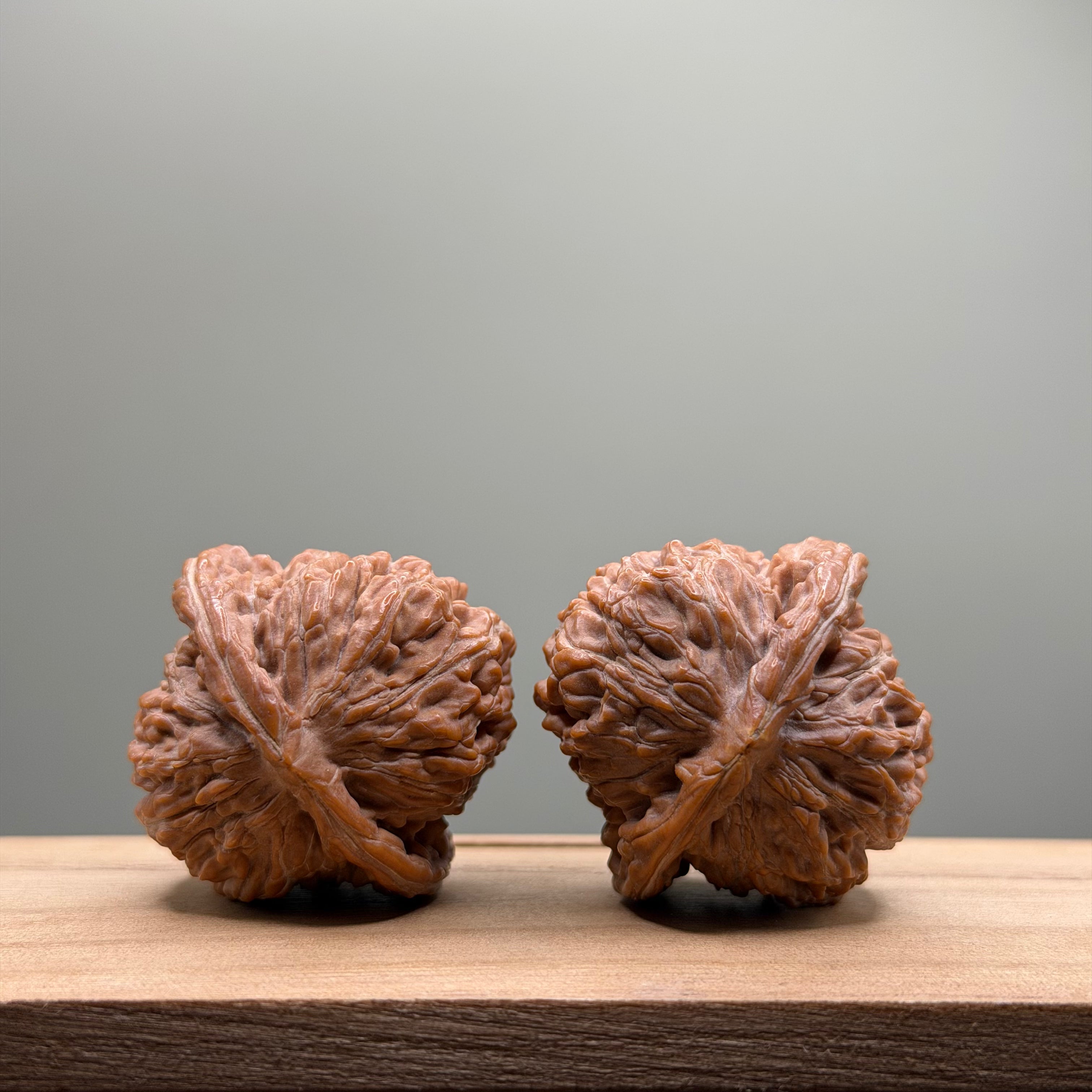 Four Towers Wenwan Walnut