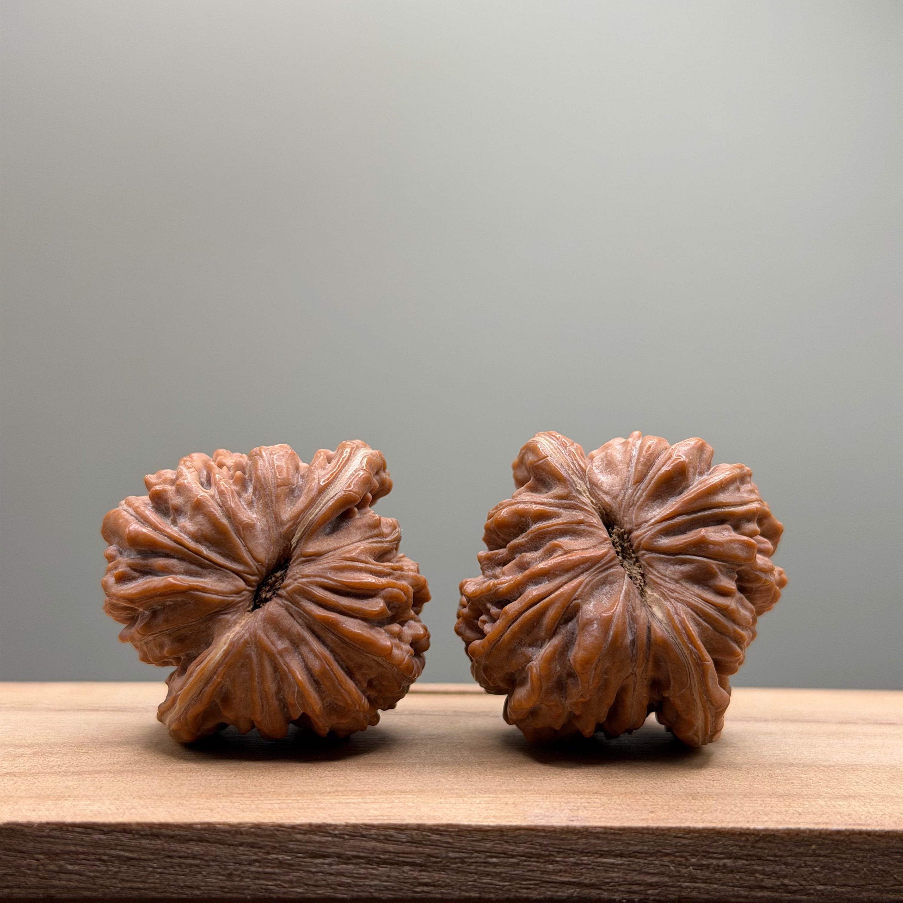 Four Towers Wenwan Walnut
