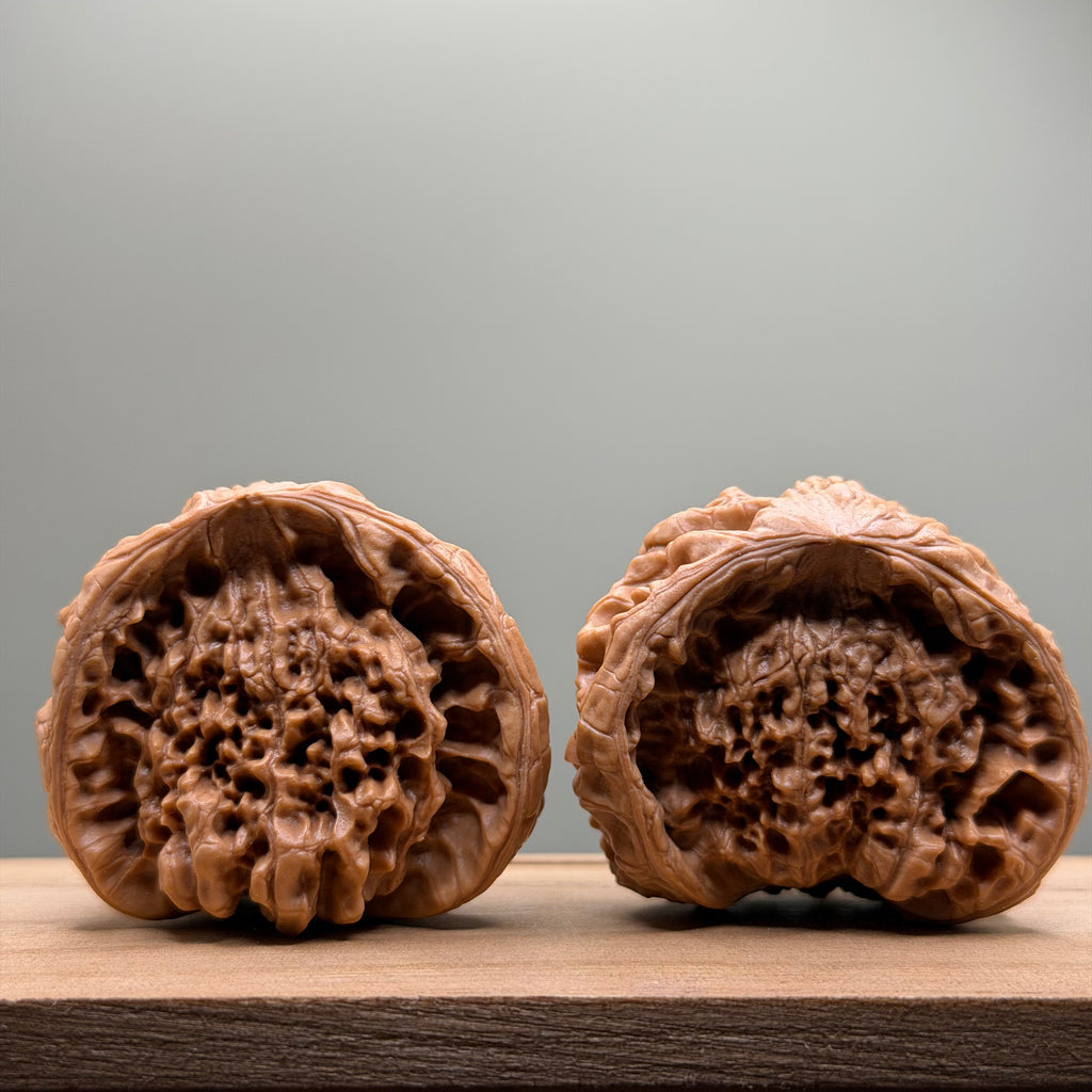 Snake Head Wenwan Walnut