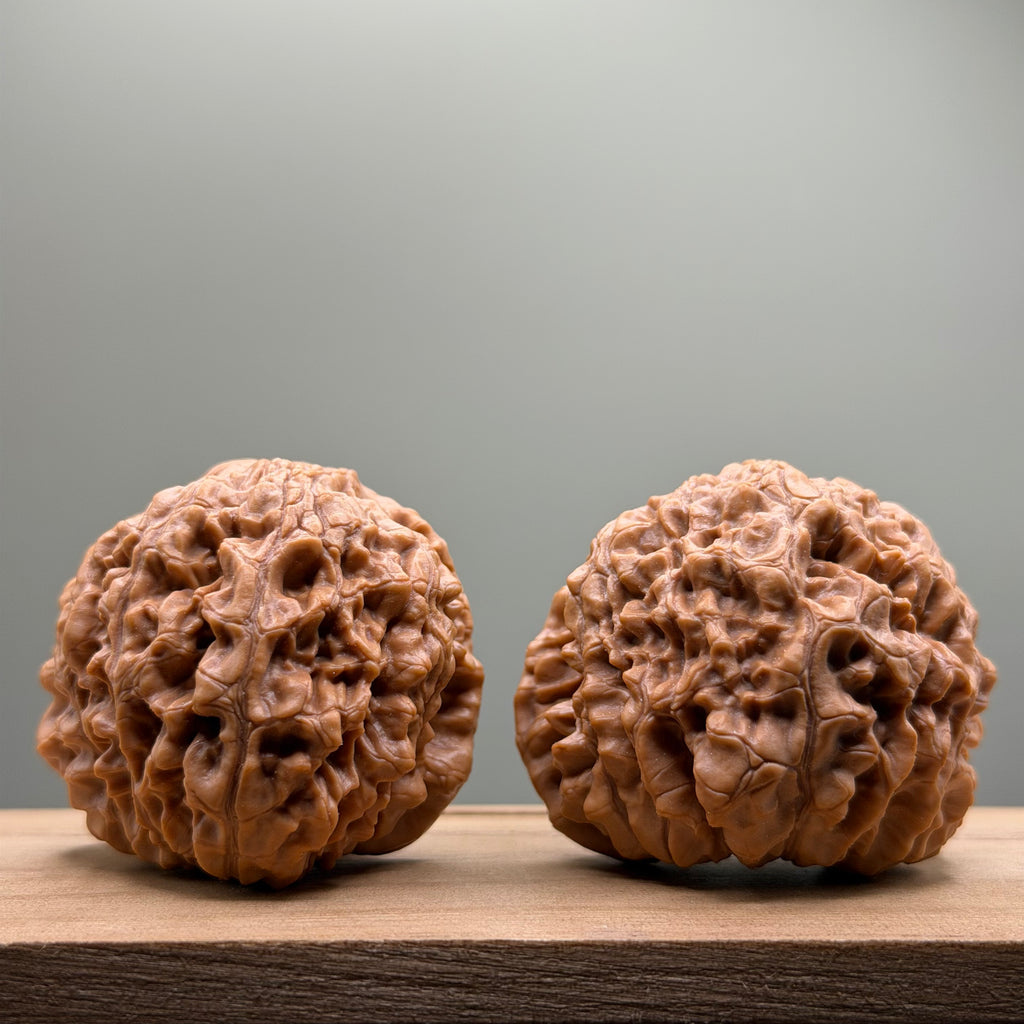 Snake Head Wenwan Walnut