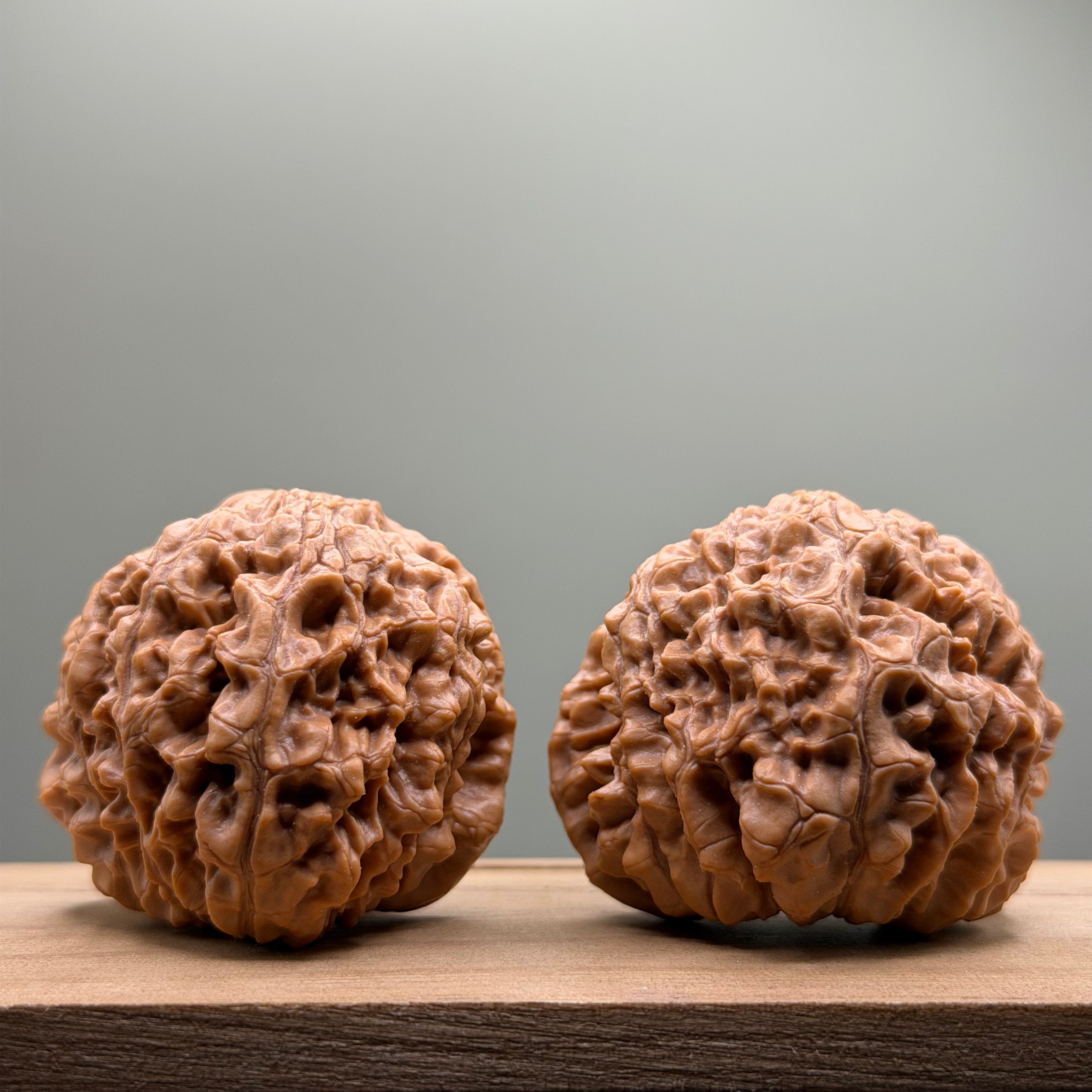 Snake Head Wenwan Walnut
