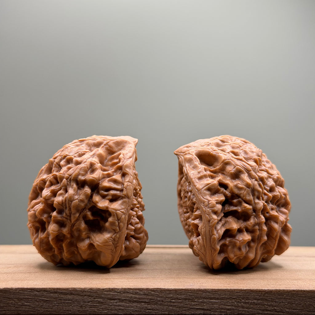Snake Head Wenwan Walnut
