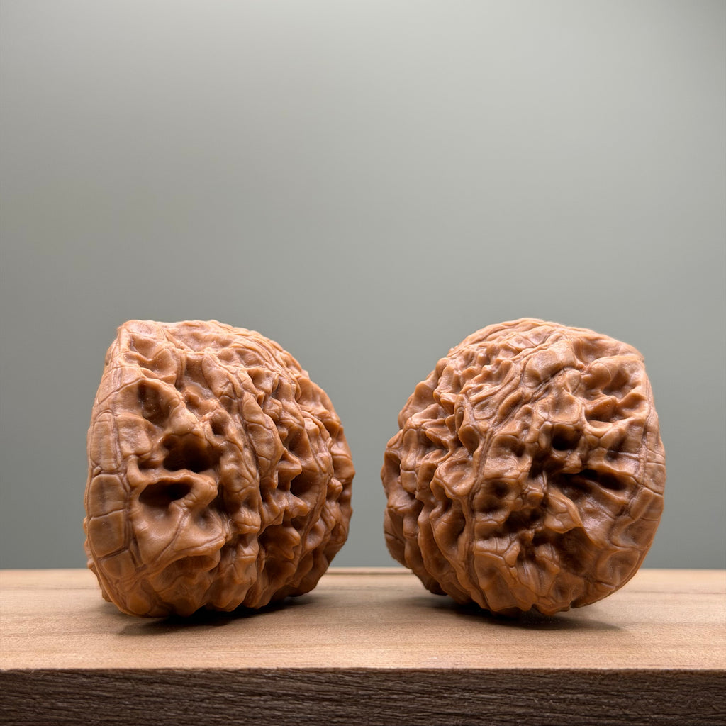 Snake Head Wenwan Walnut