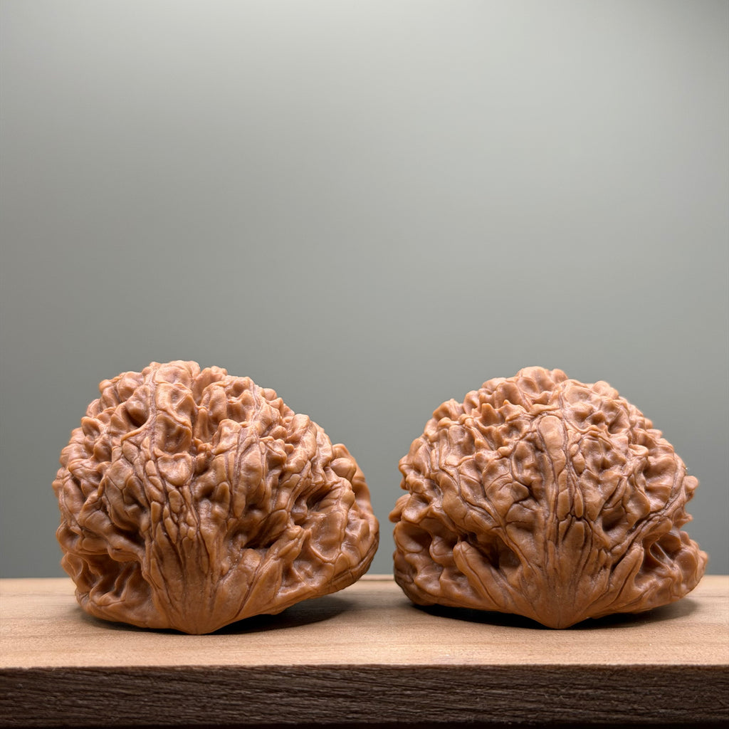 Snake Head Wenwan Walnut