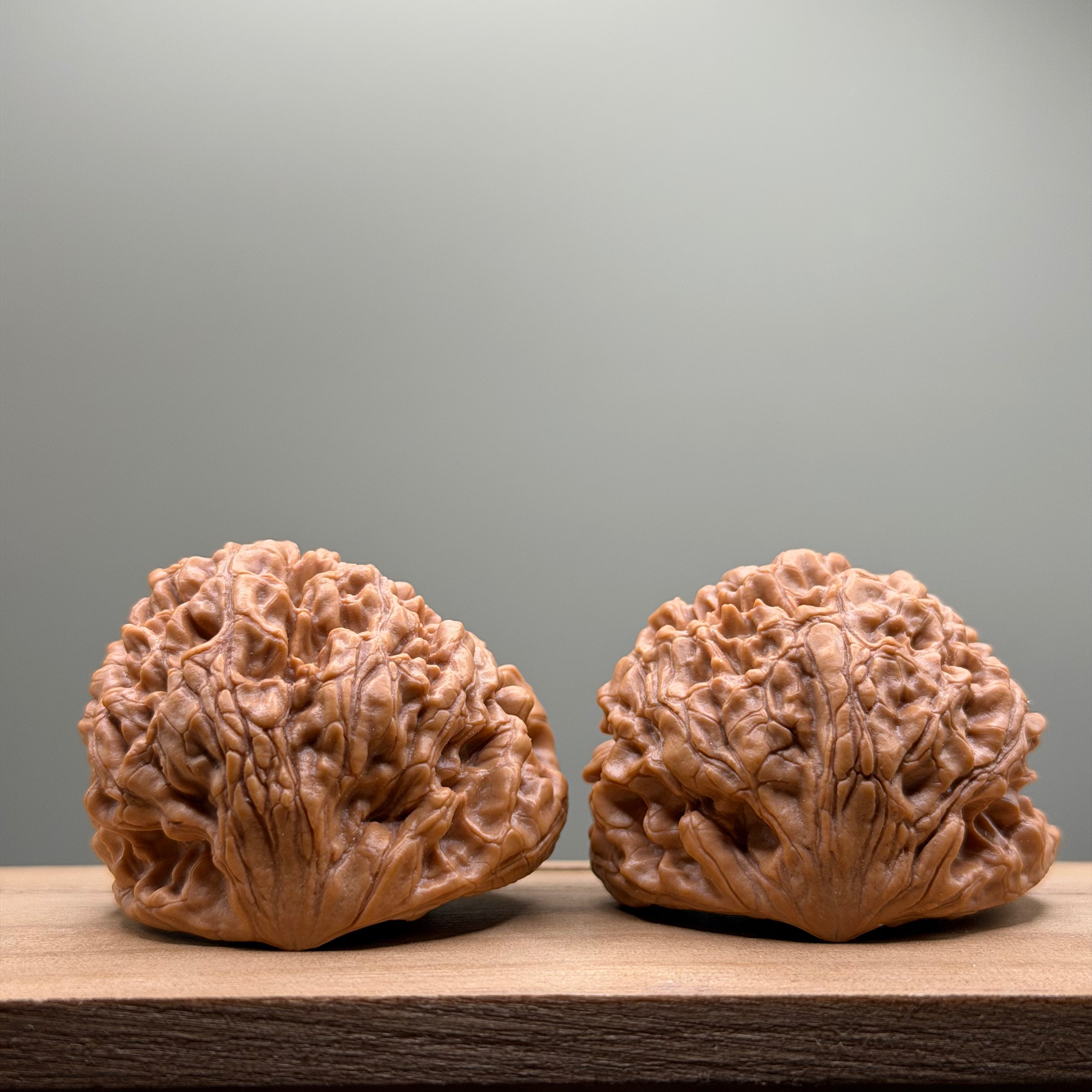 Snake Head Wenwan Walnut