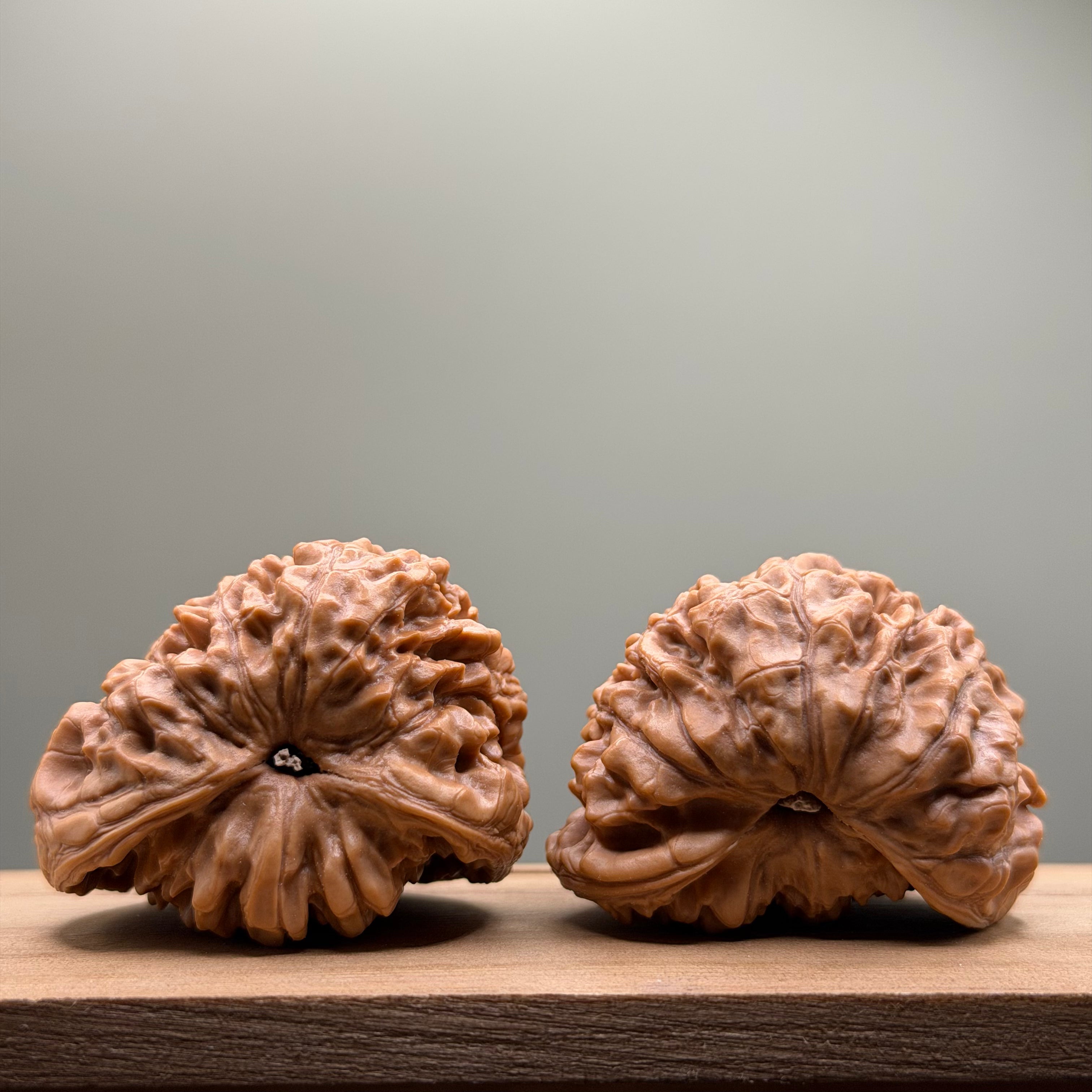 Snake Head Wenwan Walnut