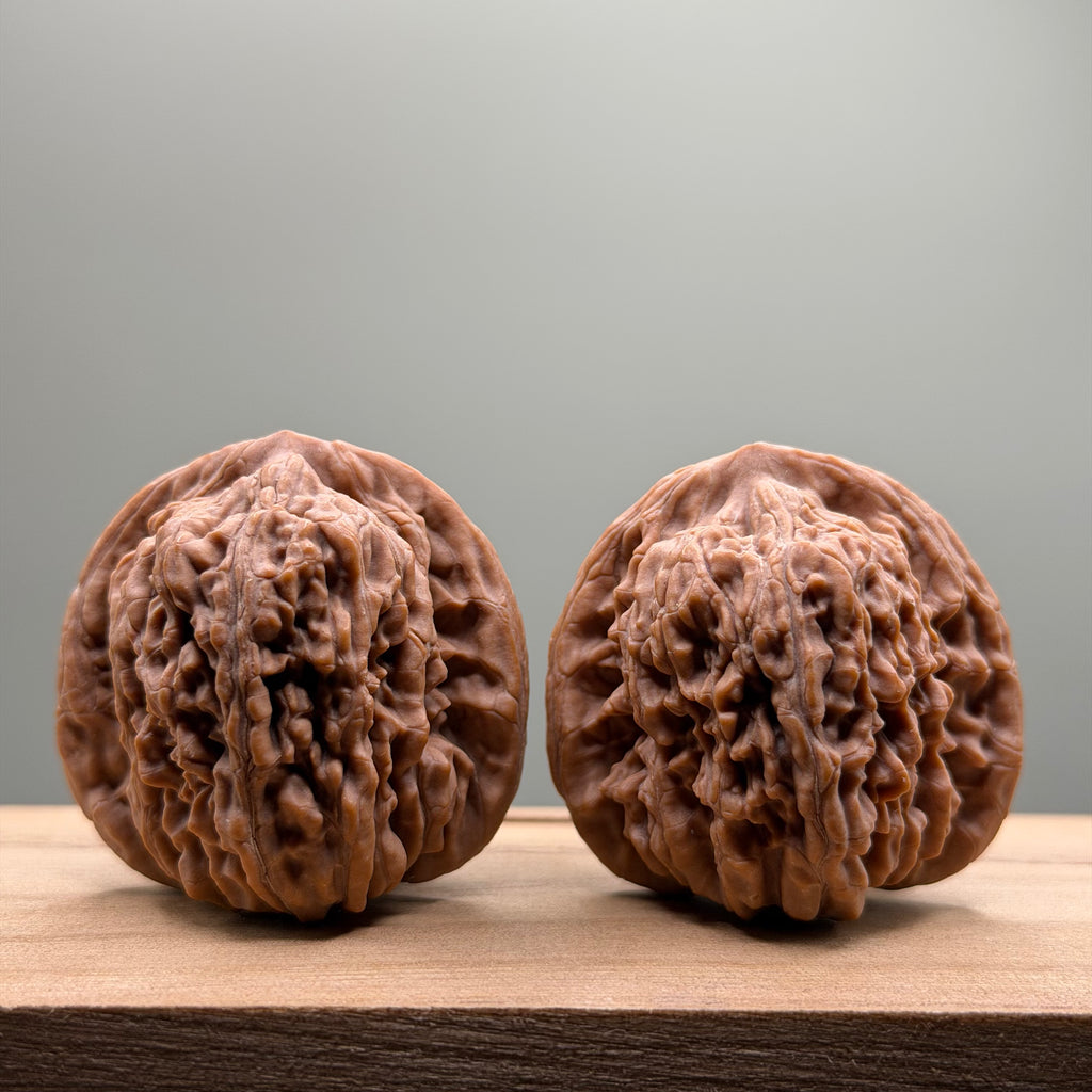 Four Towers Head Wenwan Walnut