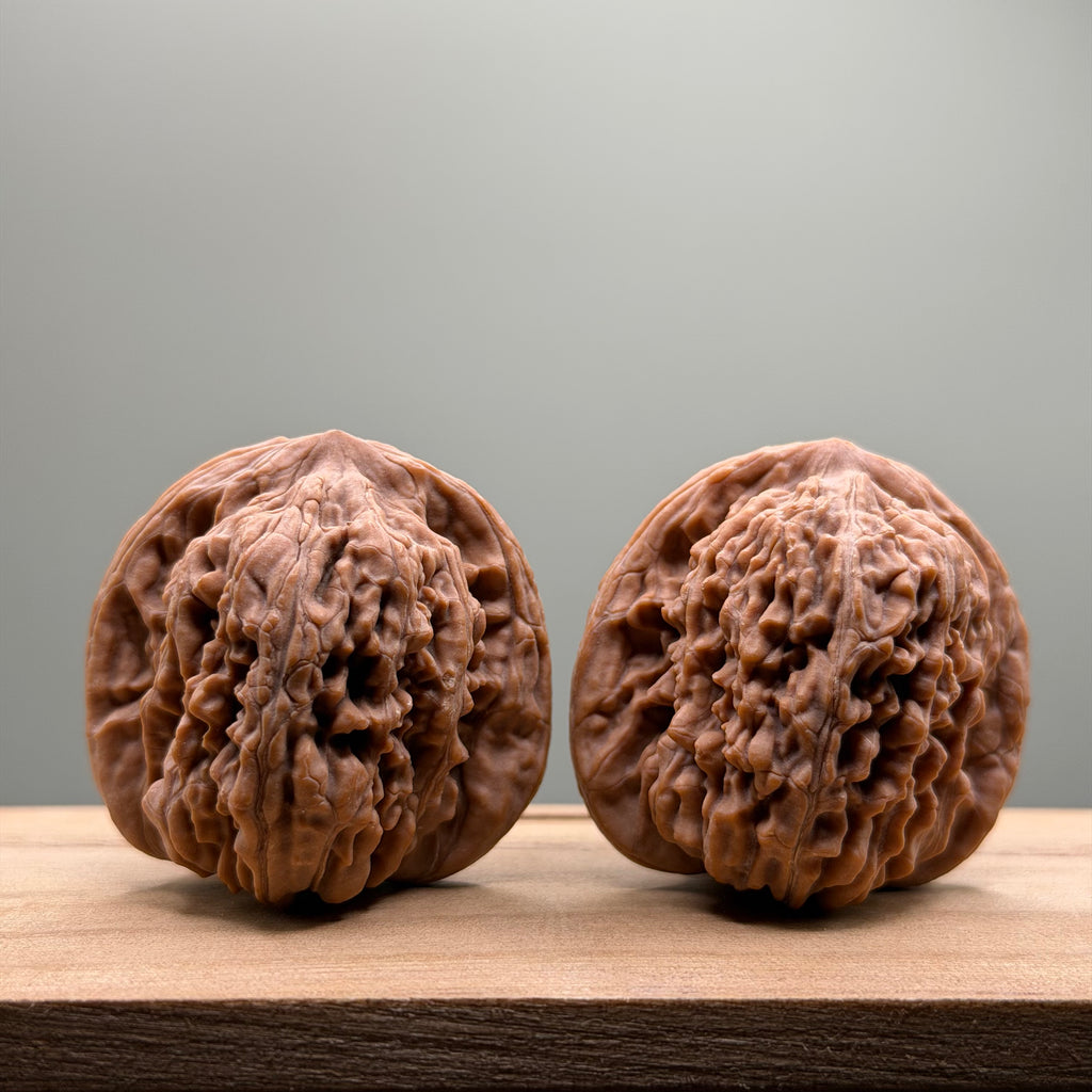 Four Towers Head Wenwan Walnut