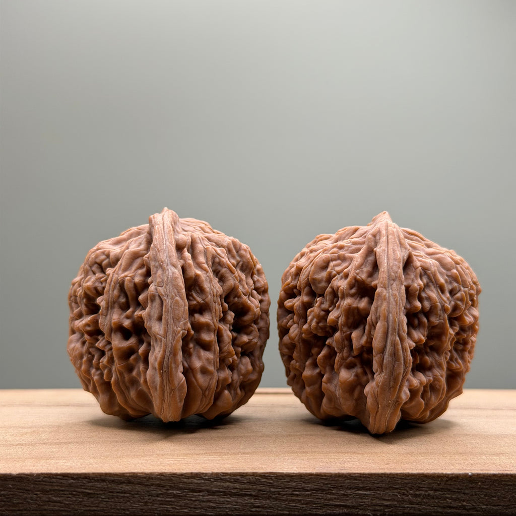 Four Towers Head Wenwan Walnut