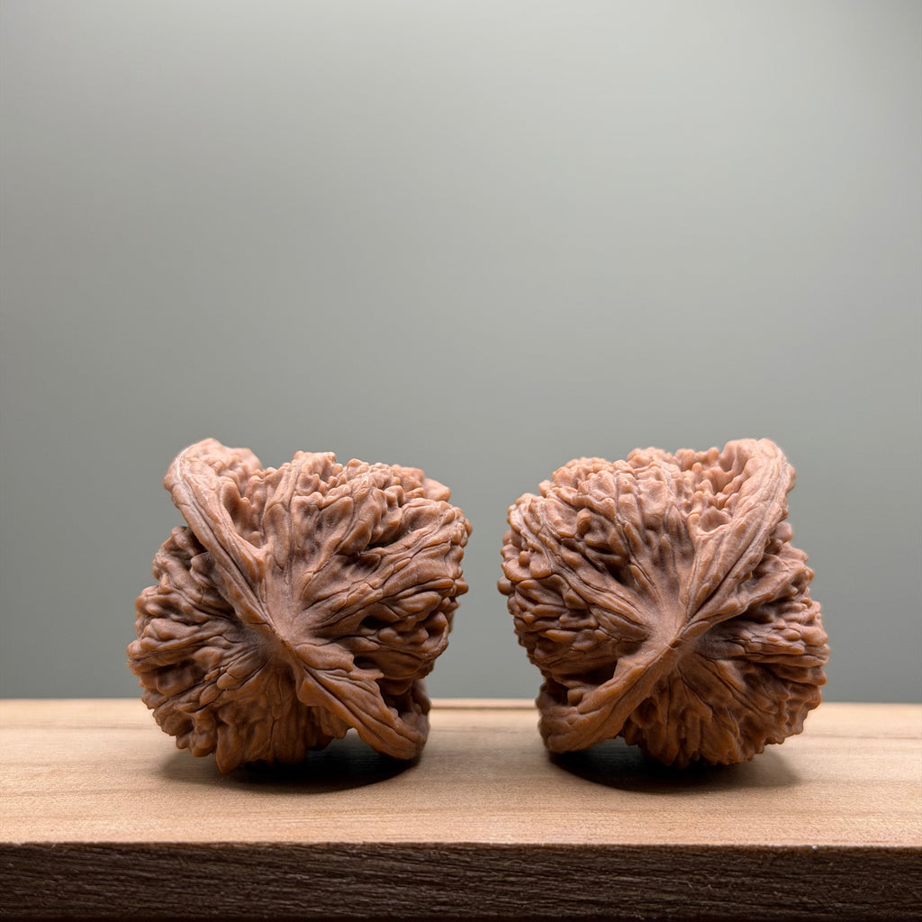 Four Towers Head Wenwan Walnut
