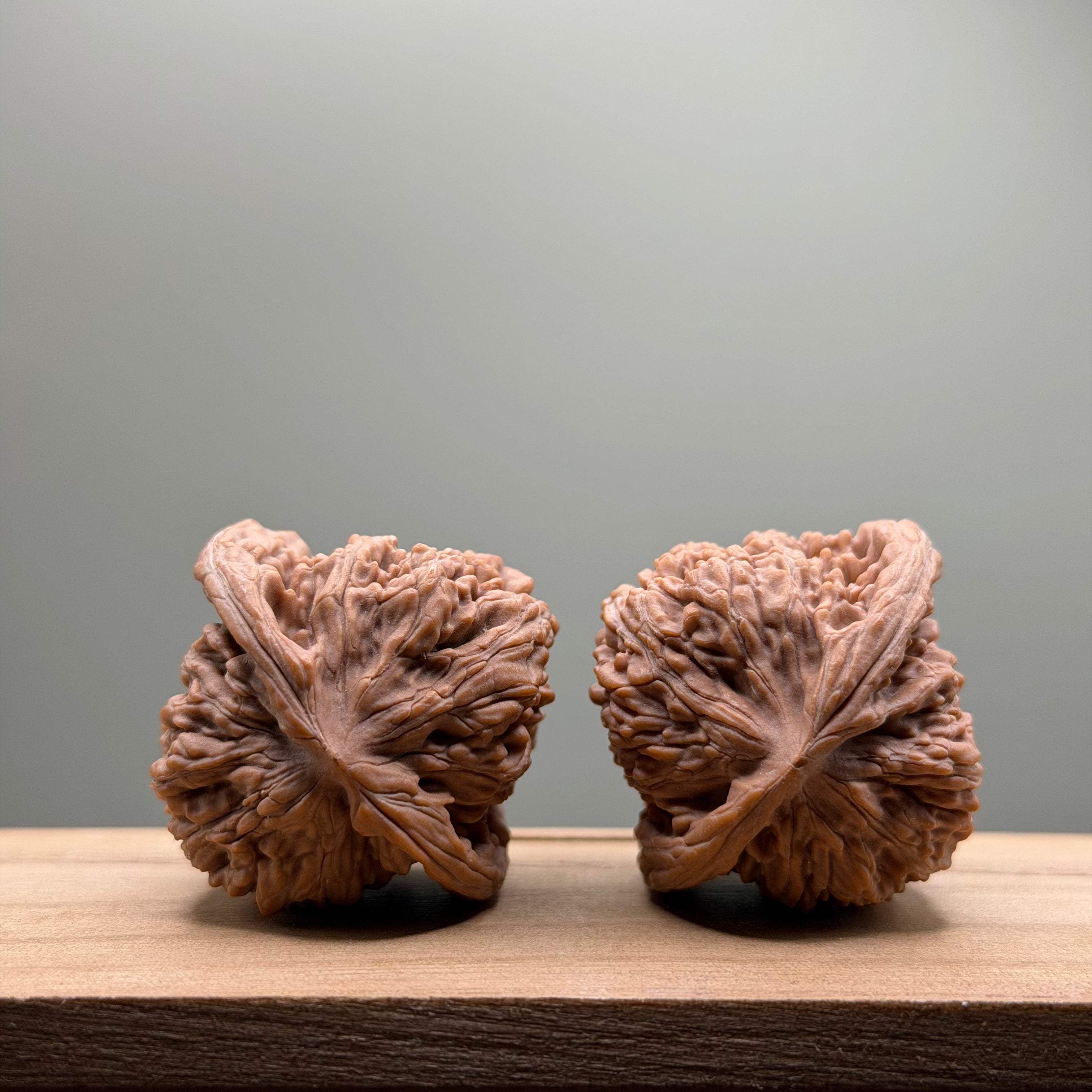 Four Towers Head Wenwan Walnut