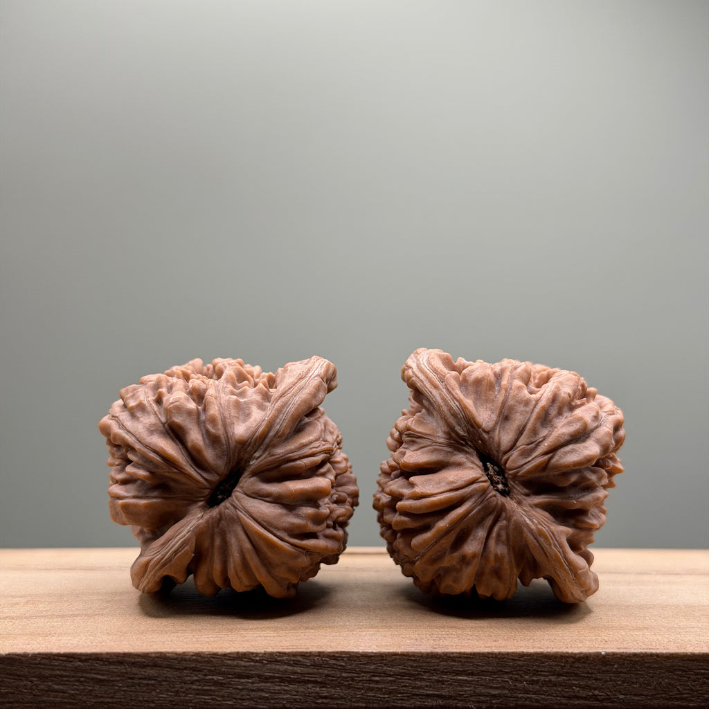 Four Towers Head Wenwan Walnut