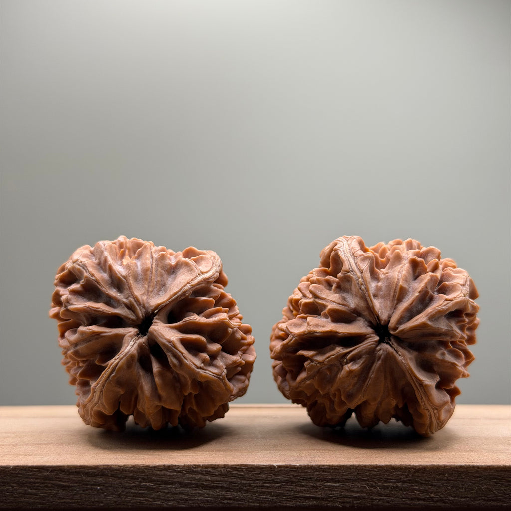 Lucky Rat Chicken Heart Wenwan Walnut