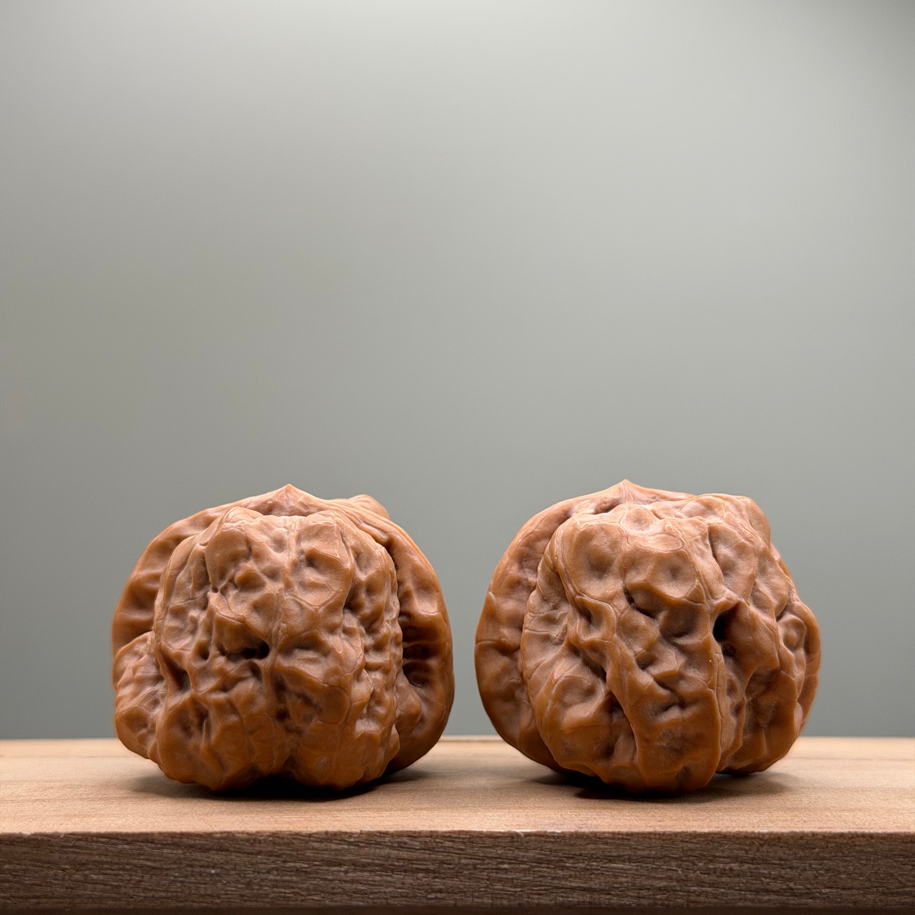 Toad Head Wenwan Walnut
