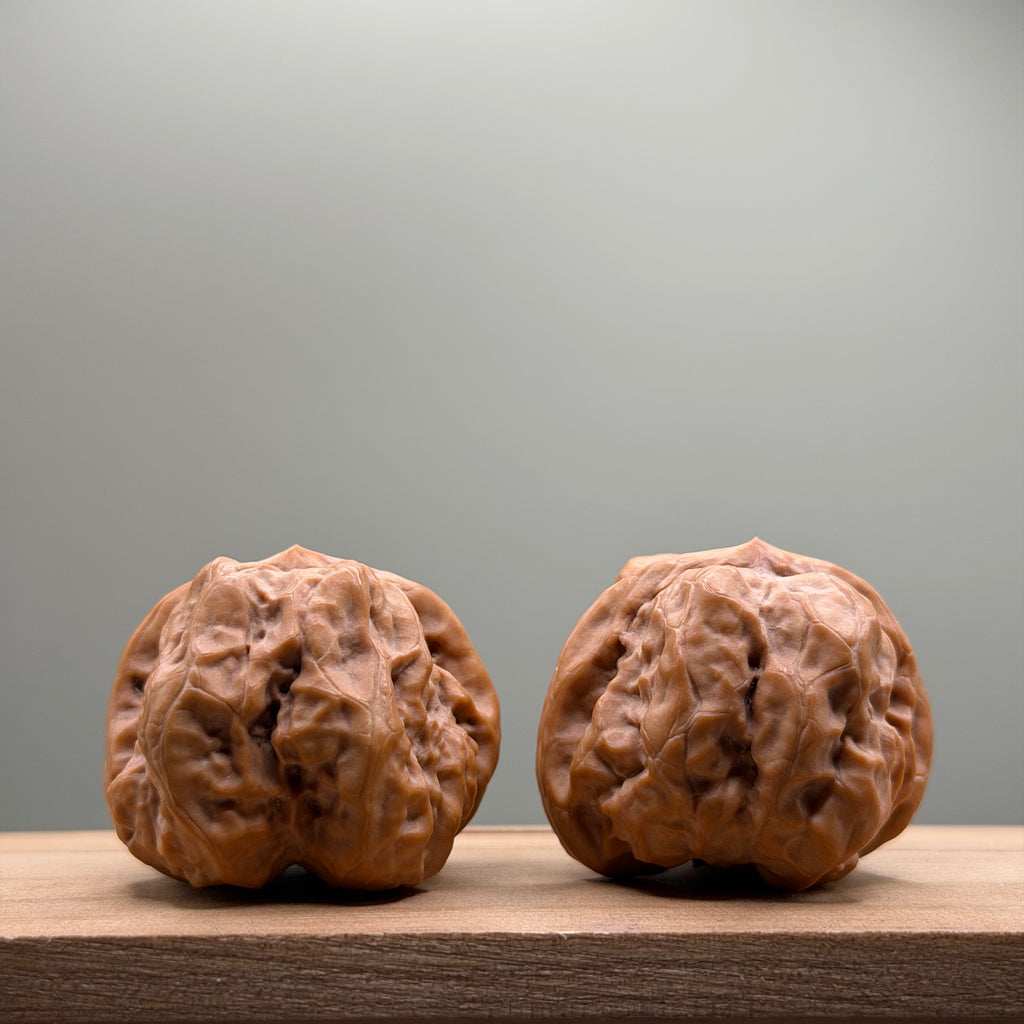 Toad Head Wenwan Walnut