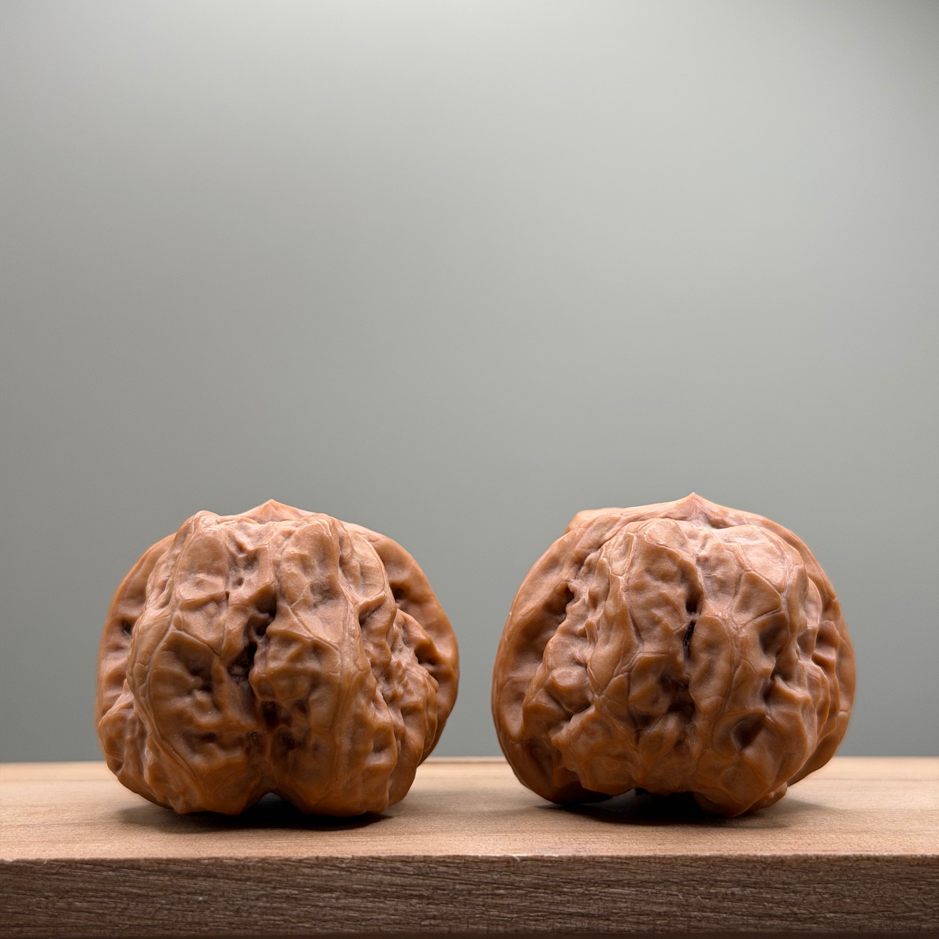 Toad Head Wenwan Walnut