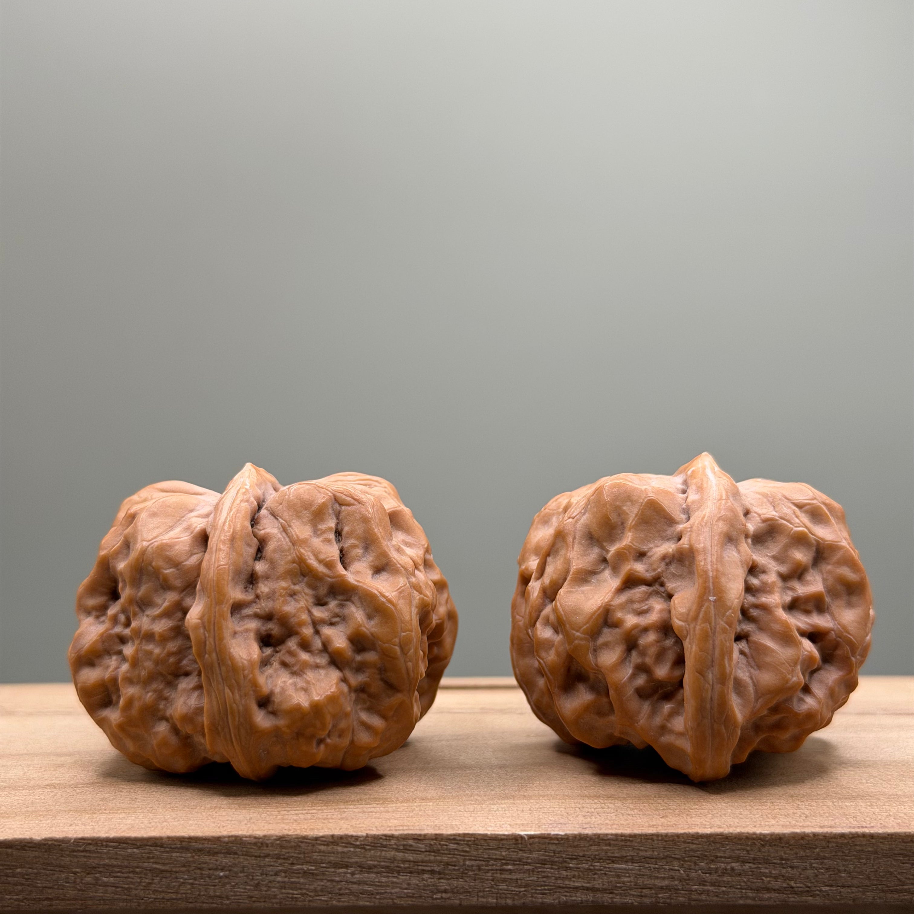 Toad Head Wenwan Walnut