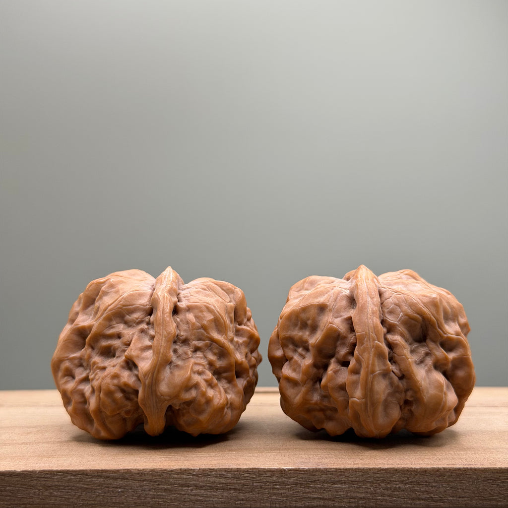 Toad Head Wenwan Walnut