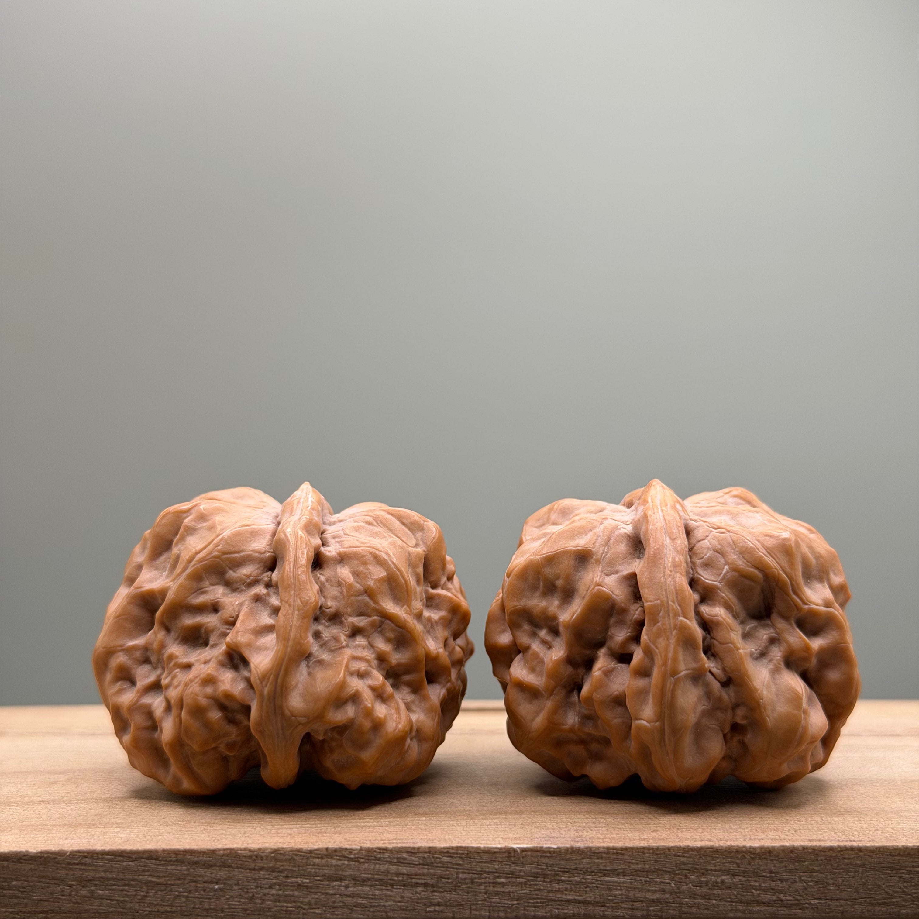 Toad Head Wenwan Walnut