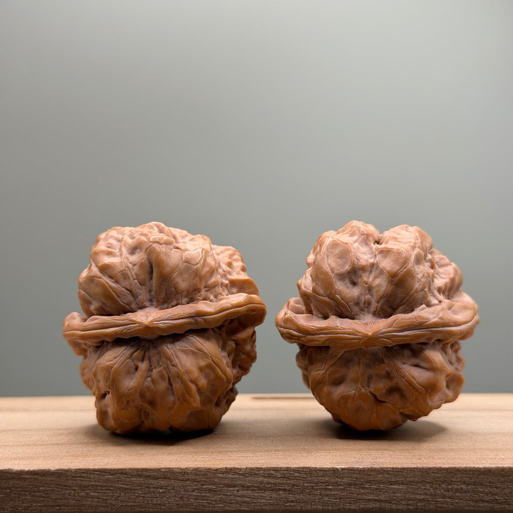 Toad Head Wenwan Walnut