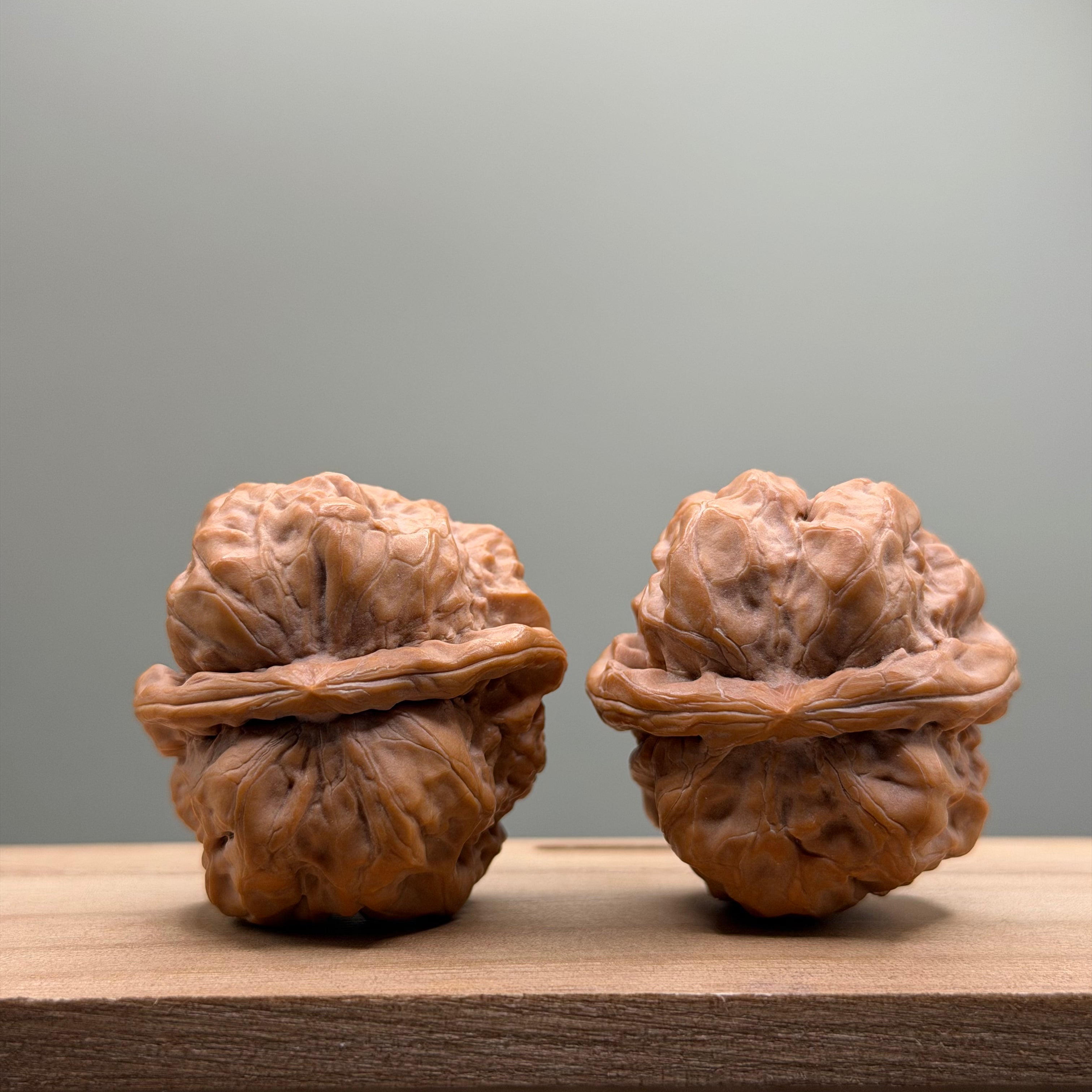 Toad Head Wenwan Walnut