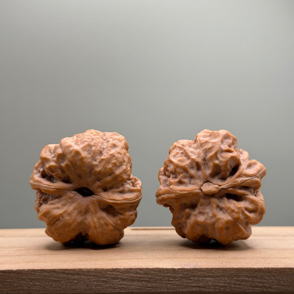 Toad Head Wenwan Walnut